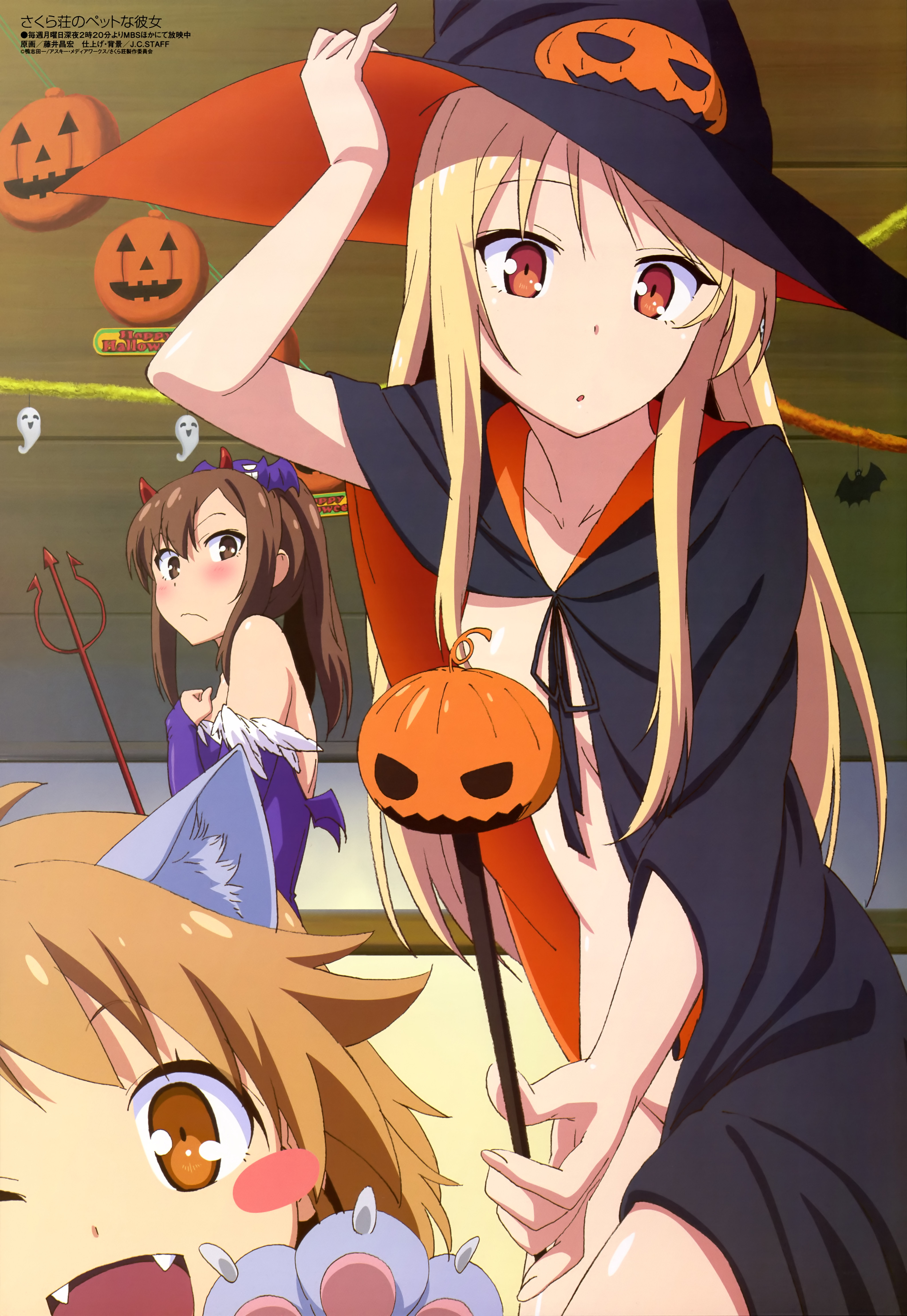 The Pet Girl Of Sakurasou Wallpapers