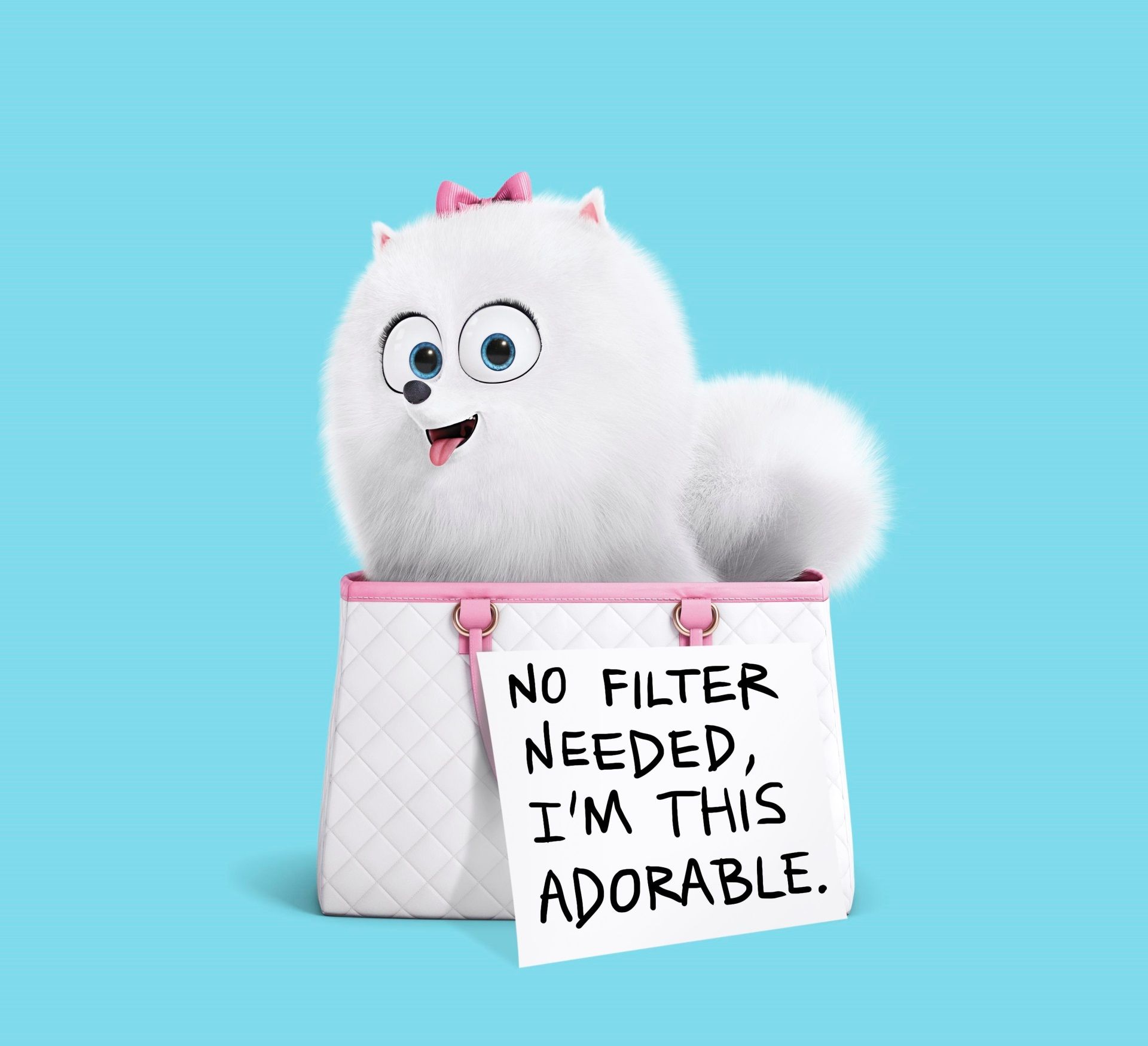 The Secret Life Of Pets Hd Wallpapers