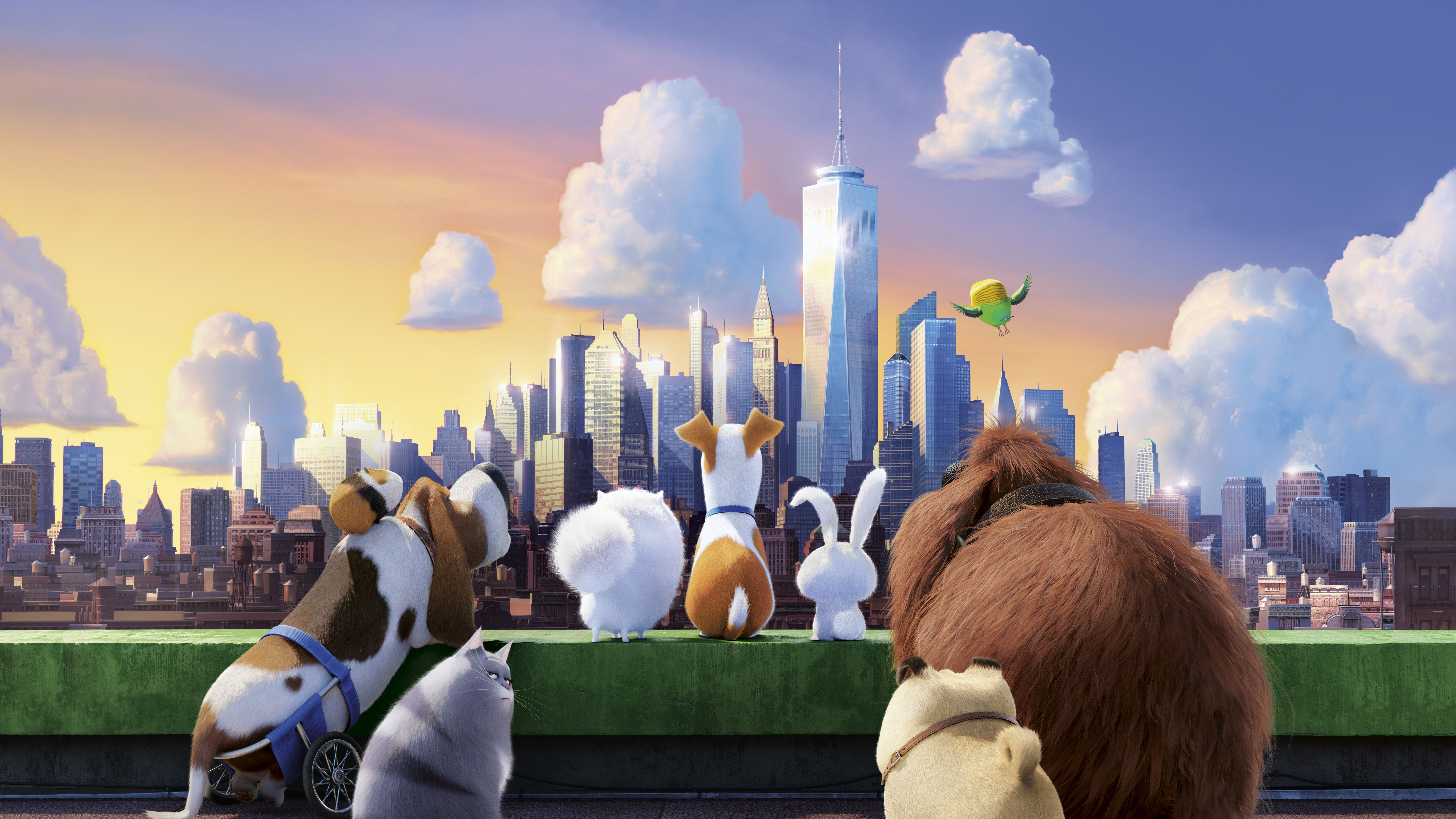 The Secret Life Of Pets Hd Wallpapers