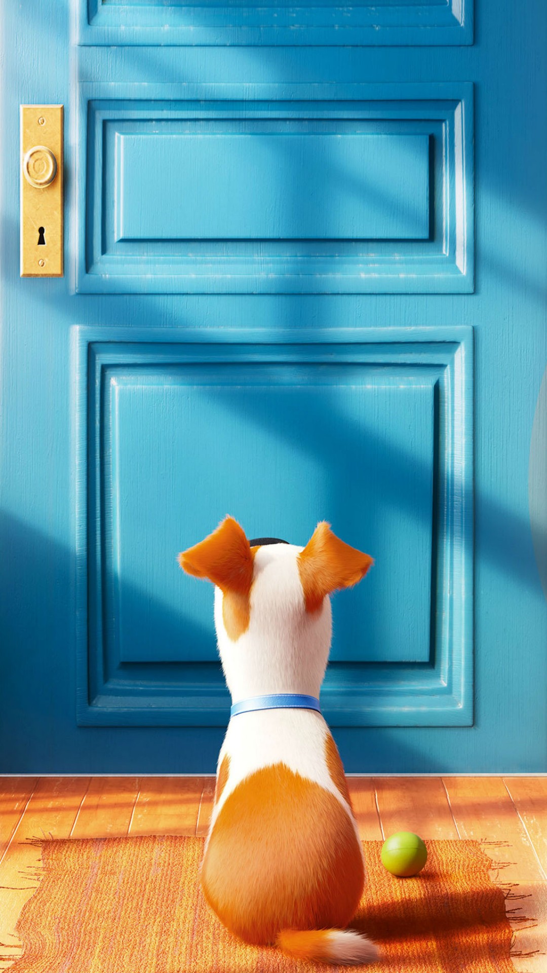 The Secret Life Of Pets Hd Wallpapers