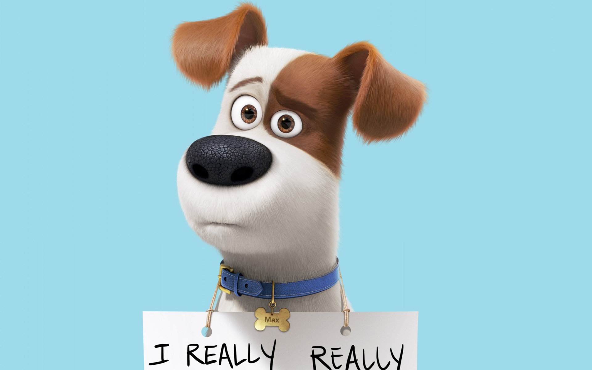 The Secret Life Of Pets Hd Wallpapers