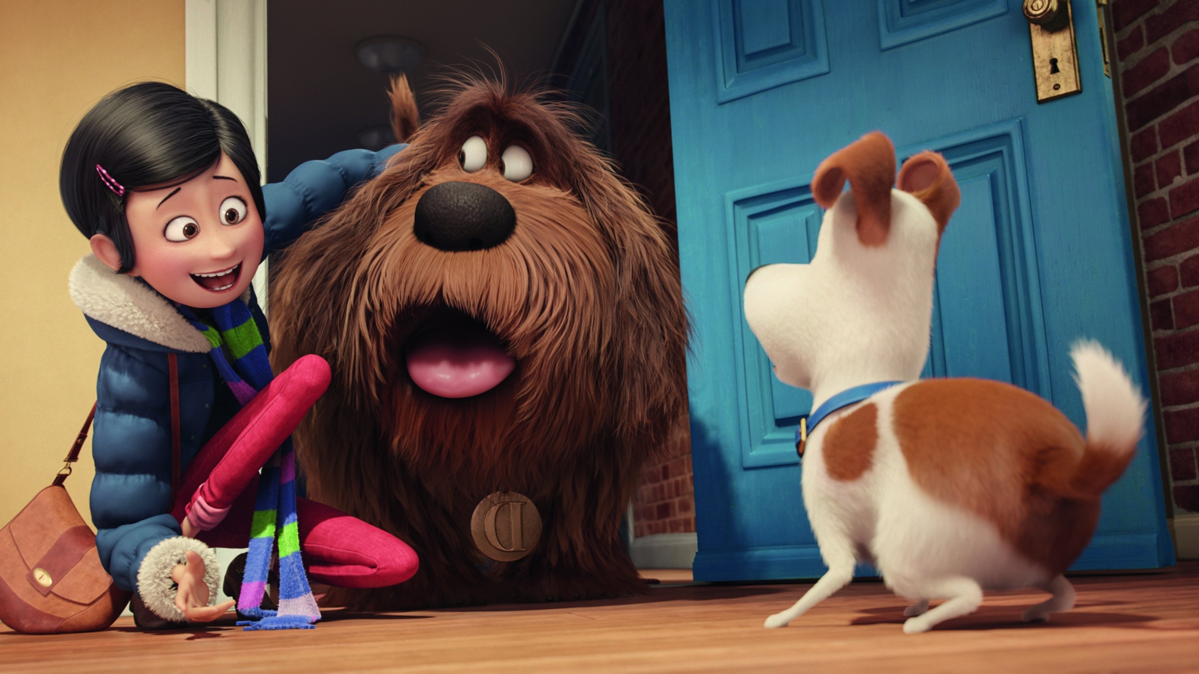 The Secret Life Of Pets Hd Wallpapers