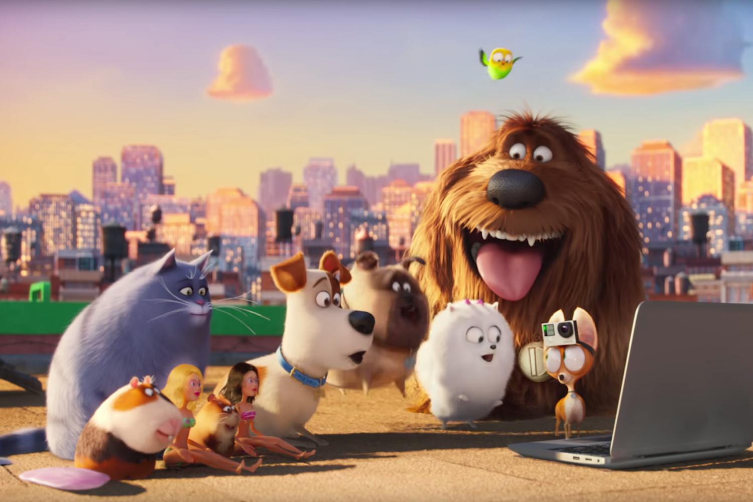 The Secret Life Of Pets Hd Wallpapers