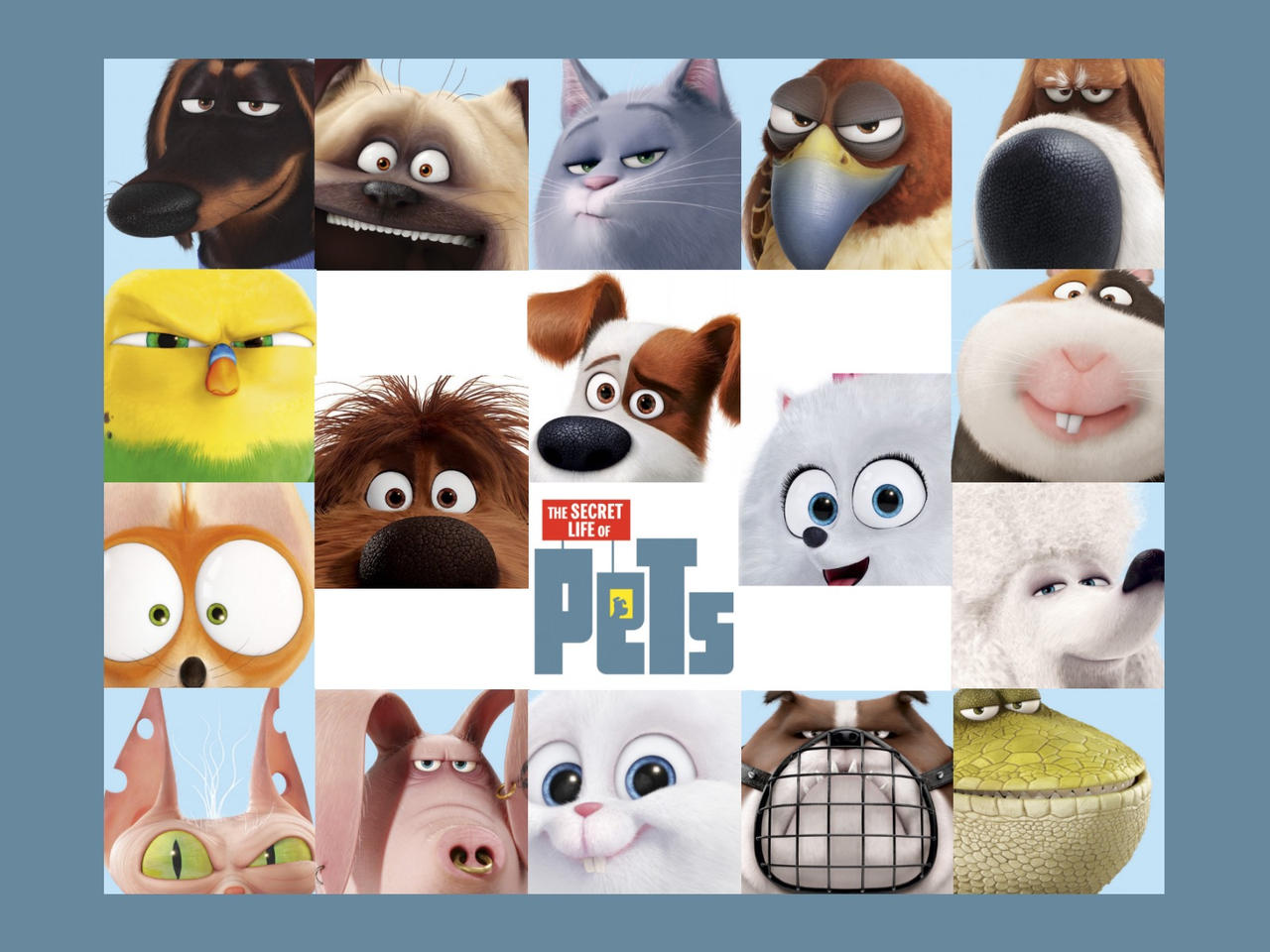 The Secret Life Of Pets Hd Wallpapers