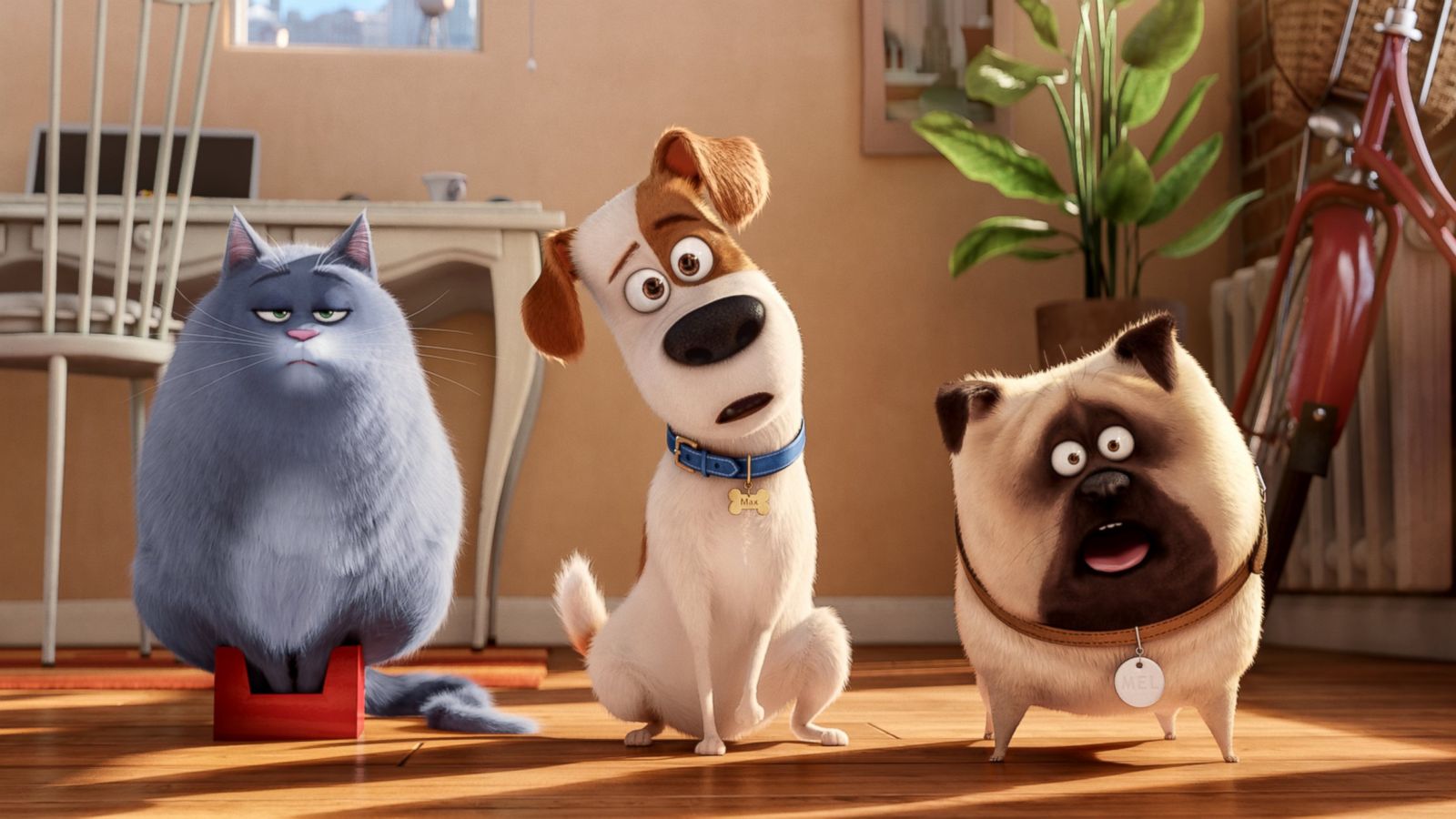 The Secret Life Of Pets Hd Wallpapers