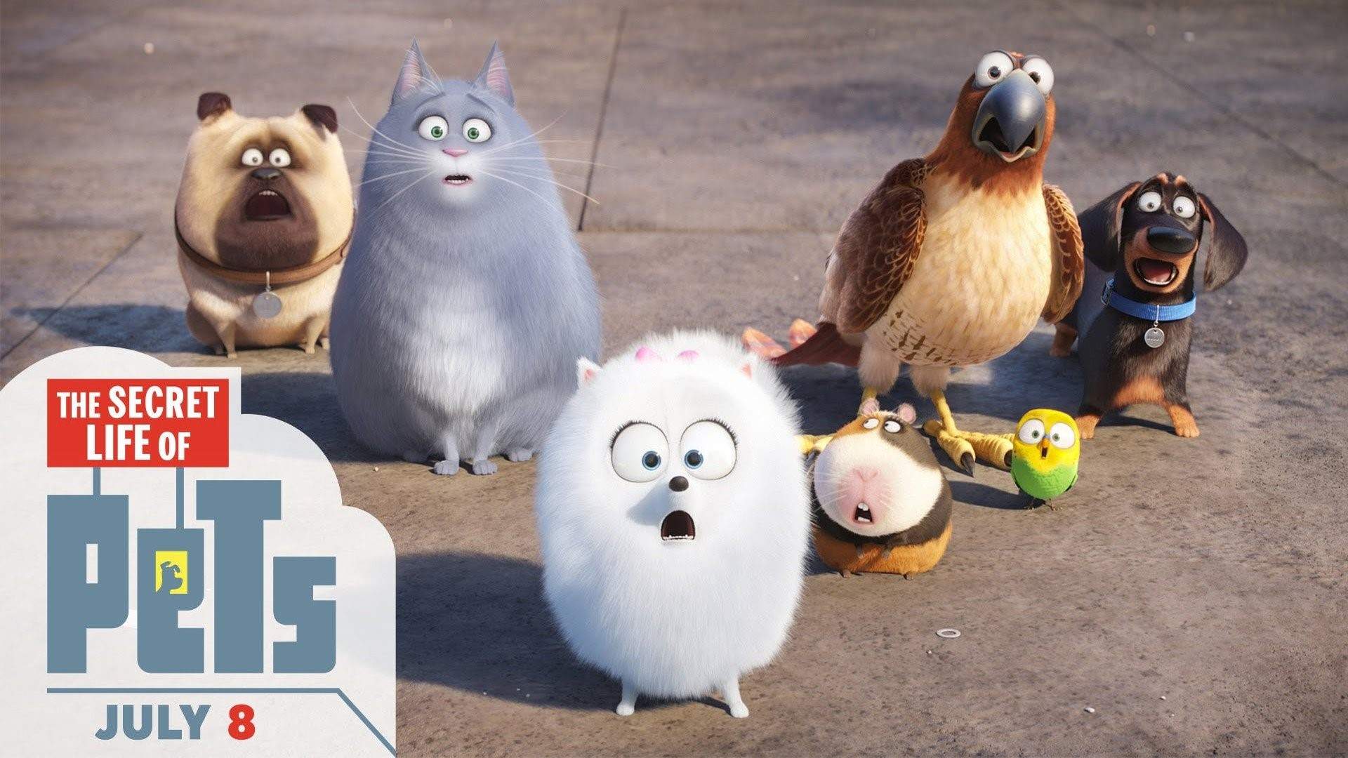 The Secret Life Of Pets Hd Wallpapers