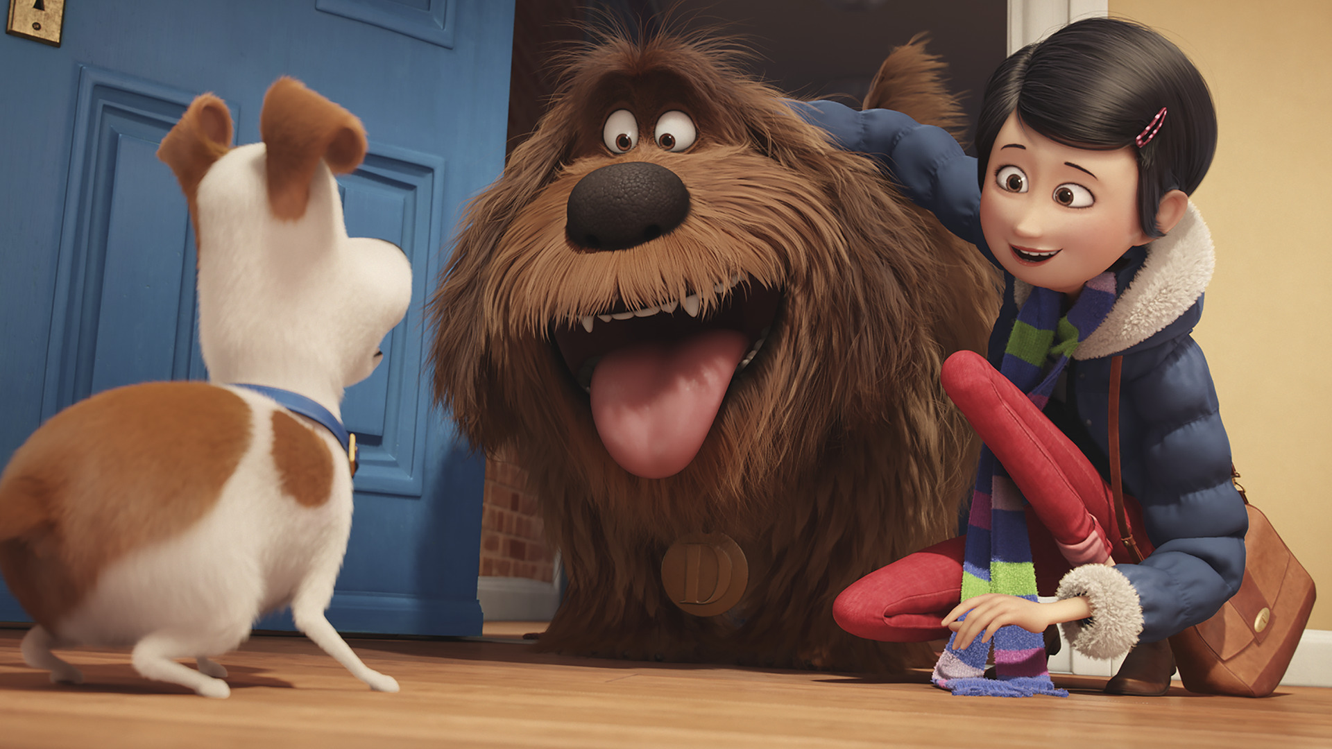 The Secret Life Of Pets Hd Wallpapers