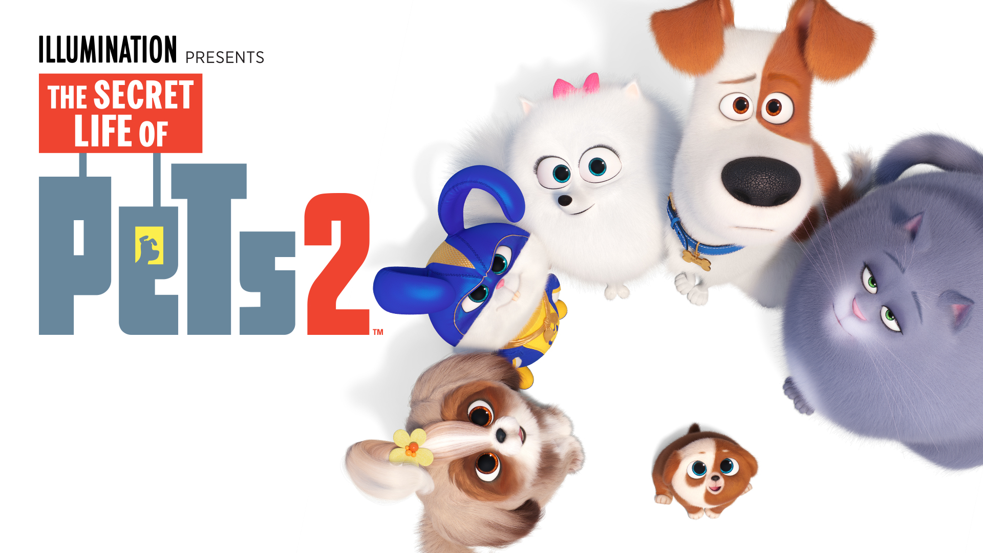 The Secret Life Of Pets Hd Wallpapers