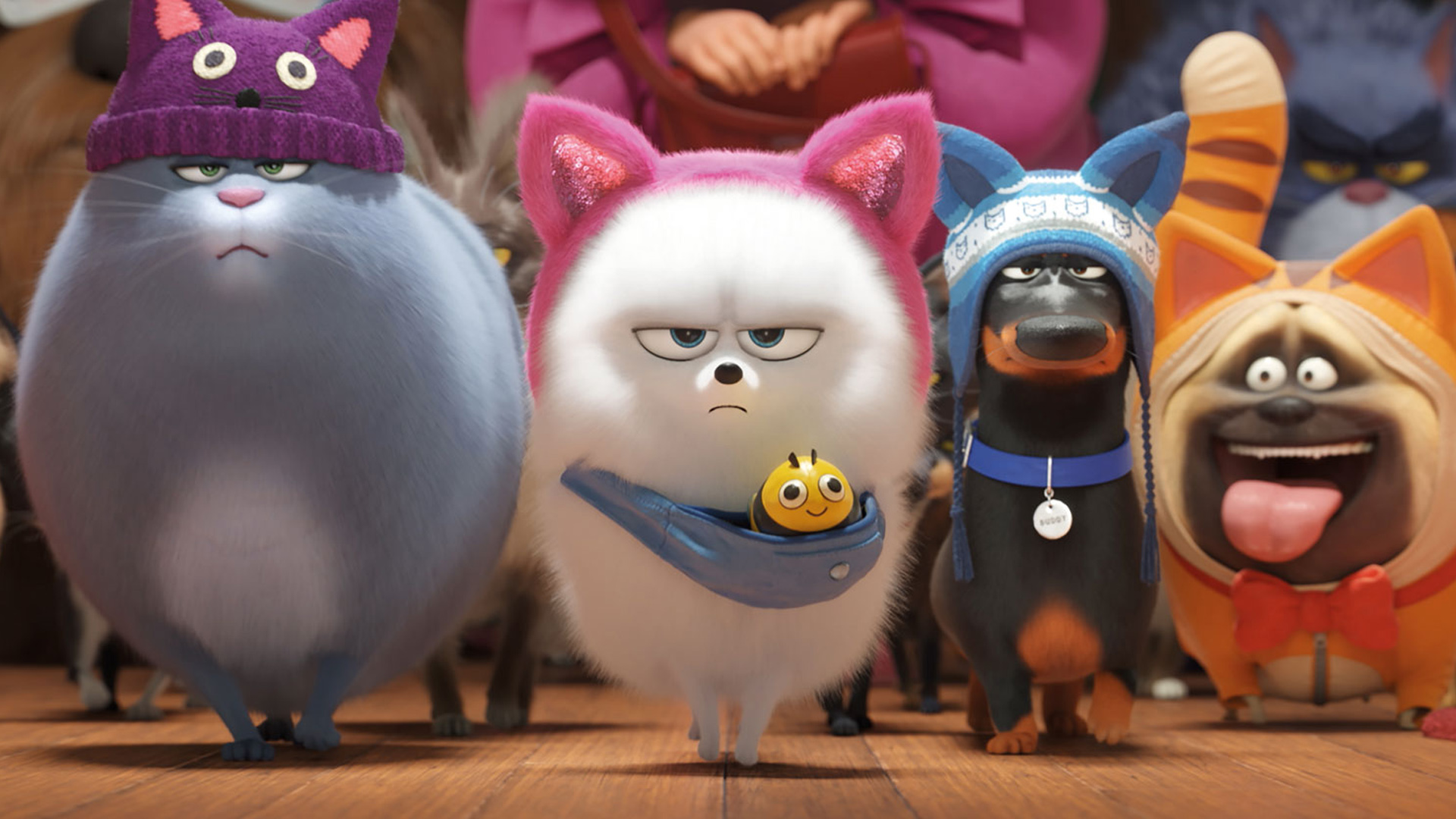 The Secret Life Of Pets Hd Wallpapers