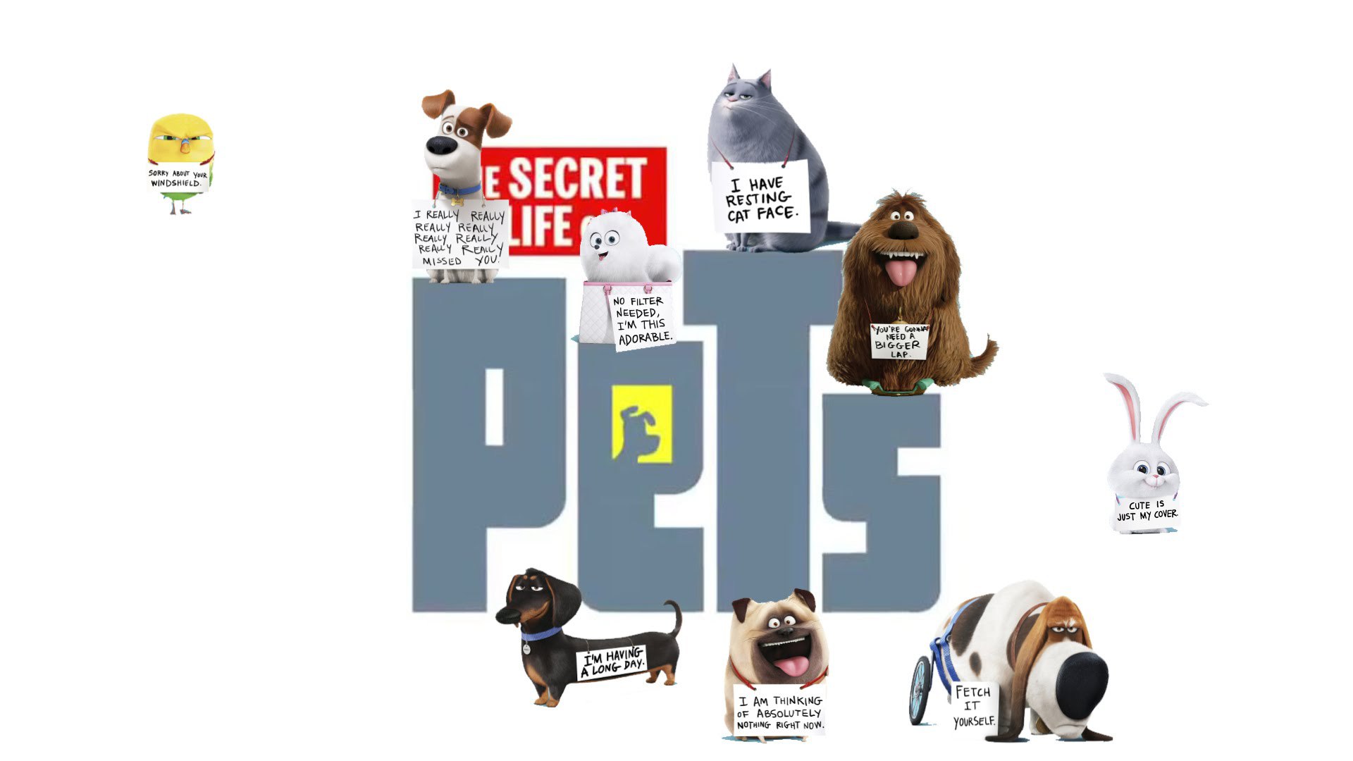 The Secret Life Of Pets Hd Wallpapers