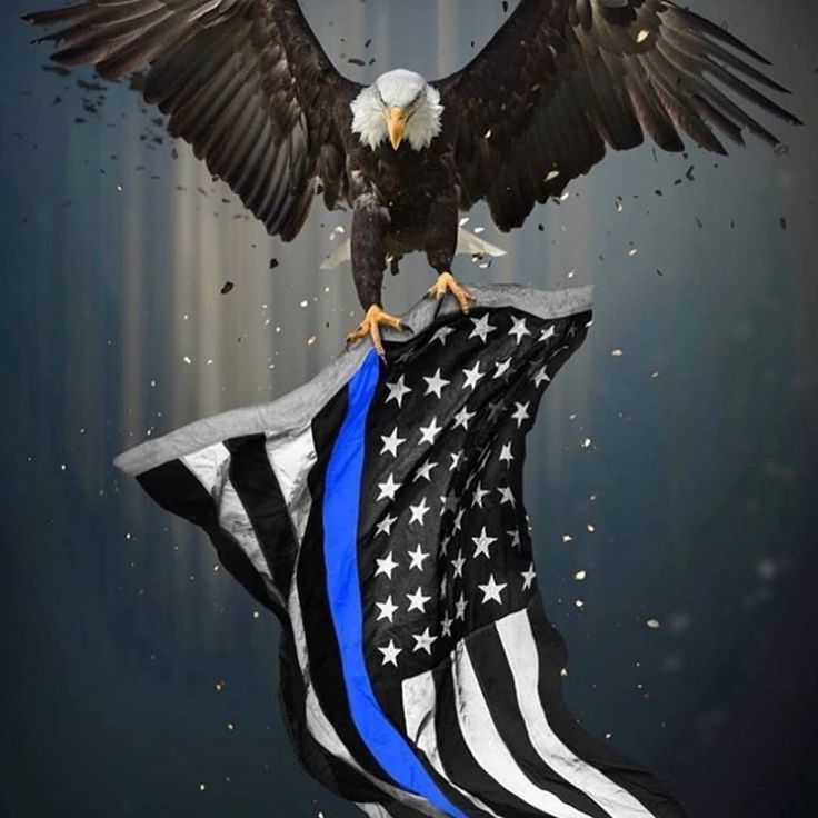 Thin Blue Line American Flag Wallpapers