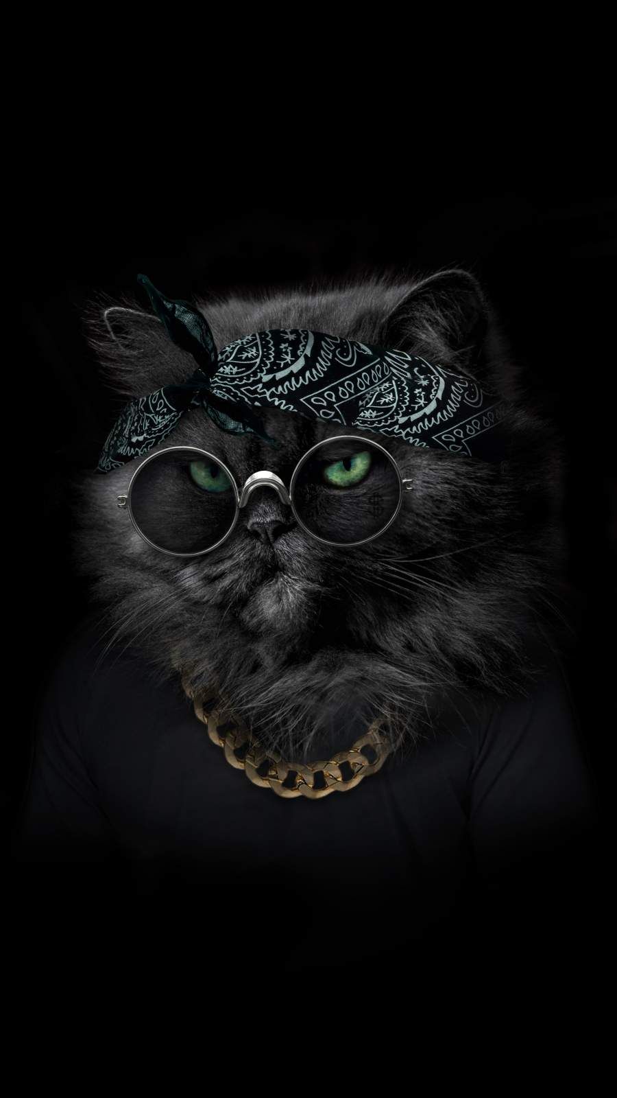 Thug Cat Wallpapers