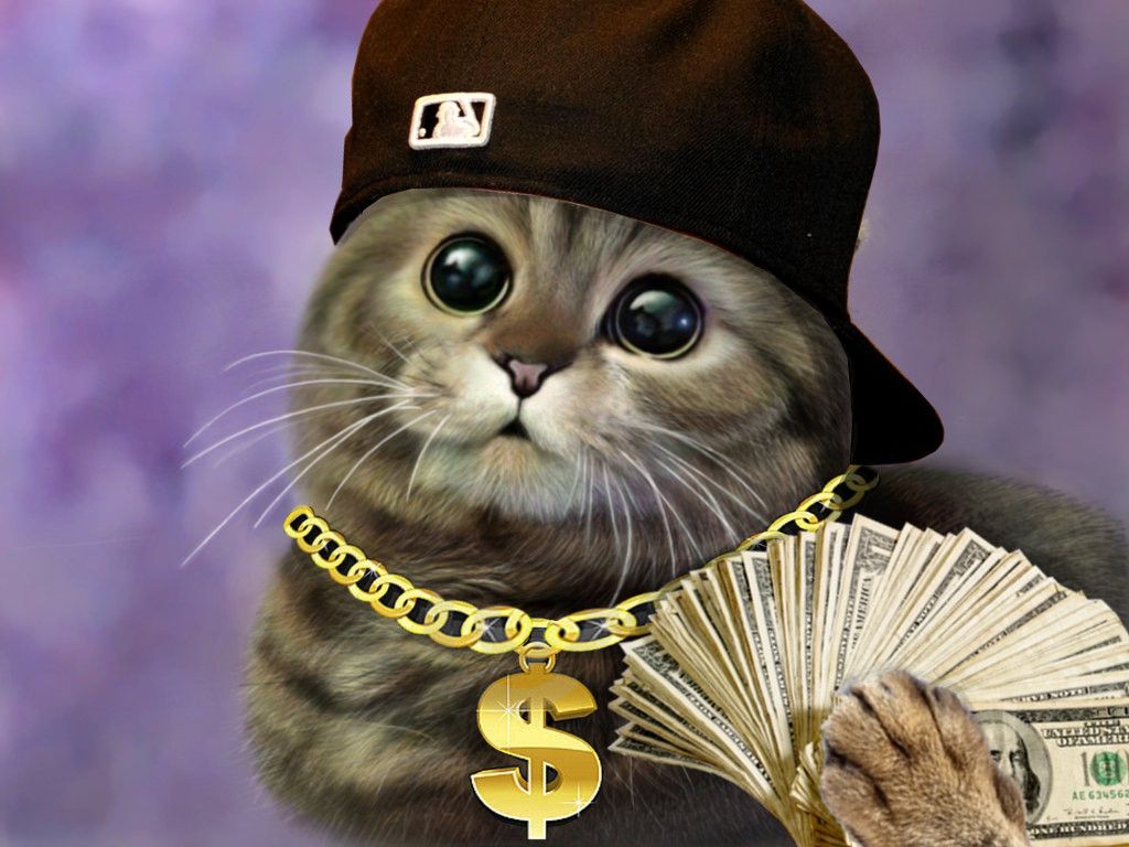 Thug Cat Wallpapers