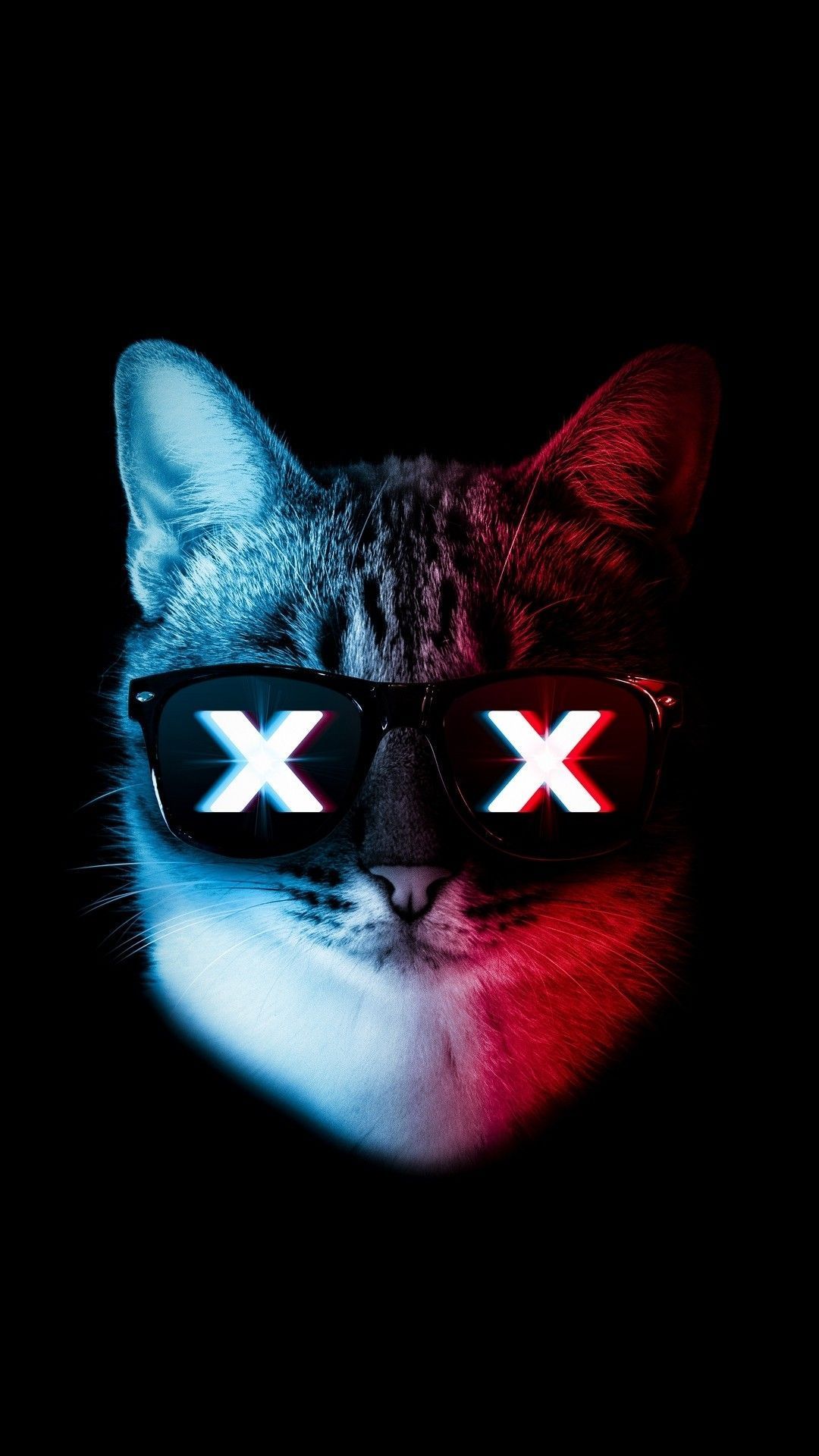 Thug Cat Wallpapers