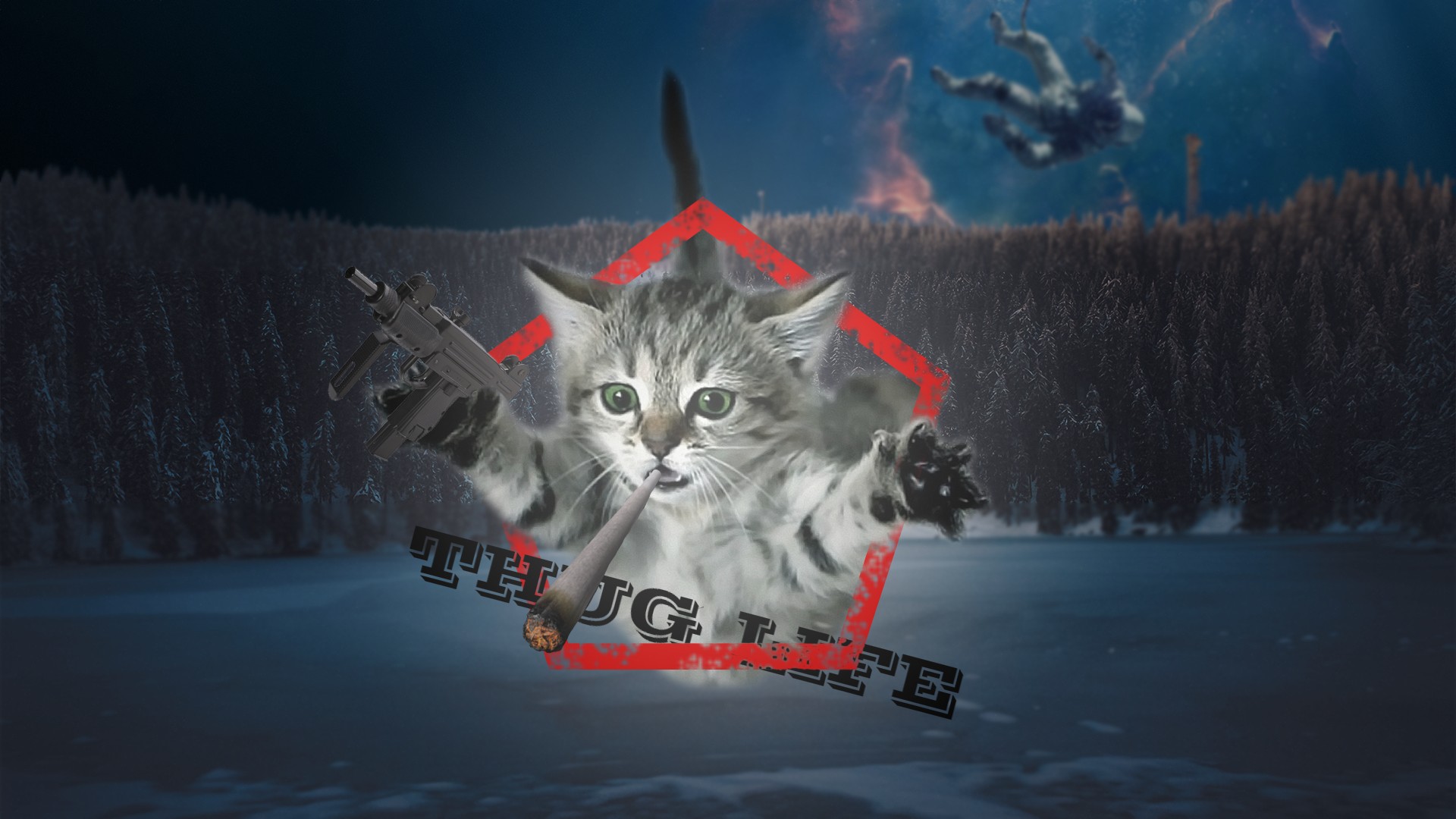 Thug Cat Wallpapers