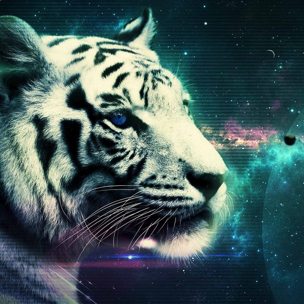 Tiger Galaxy Wallpapers