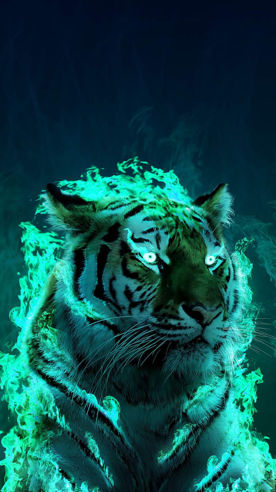 Tiger Galaxy Wallpapers