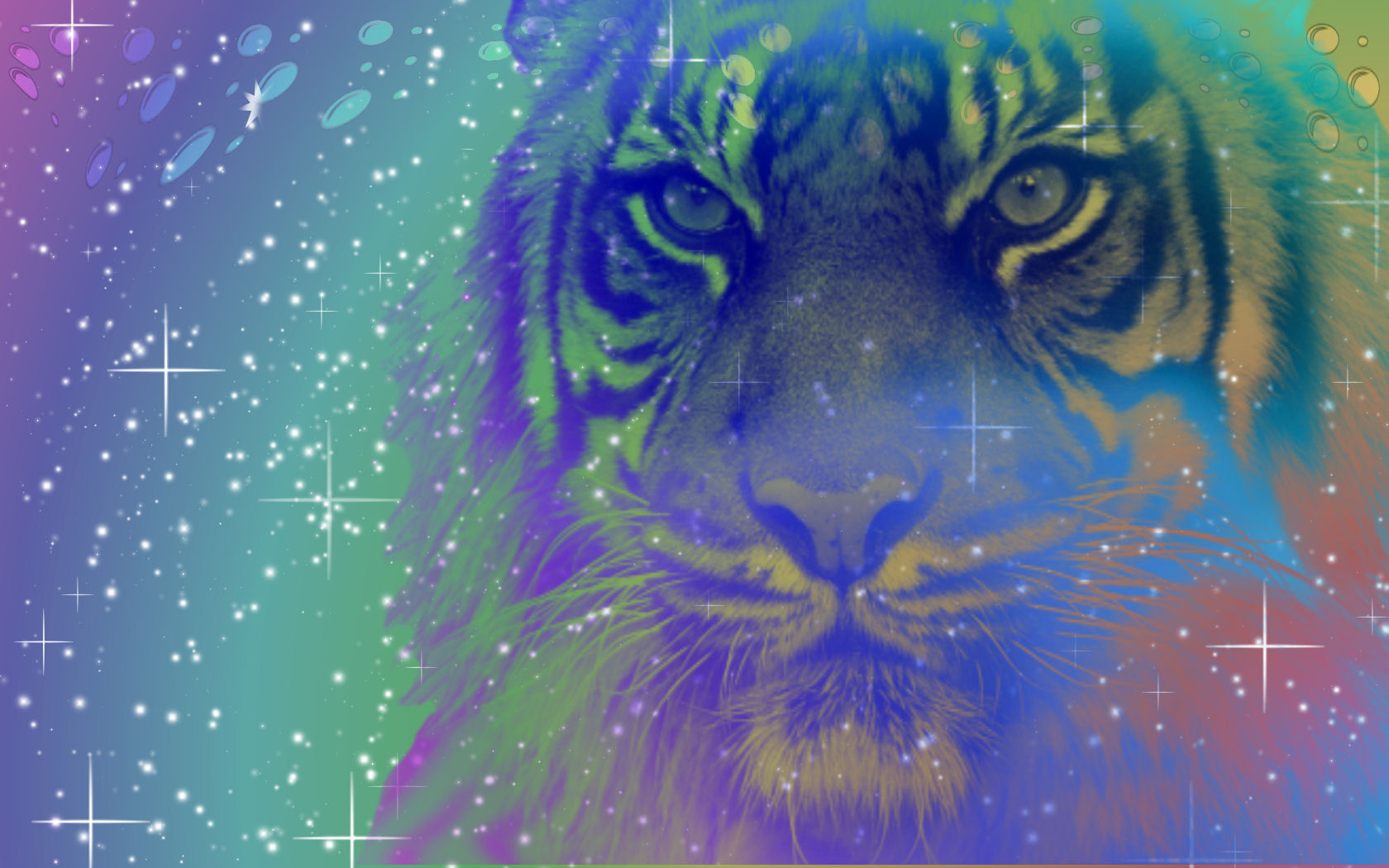 Tiger Galaxy Wallpapers