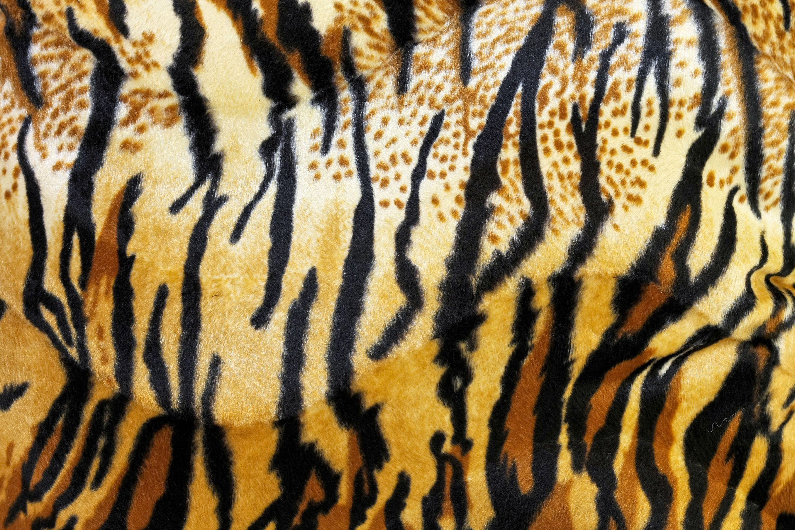 Tiger Print Wallpapers