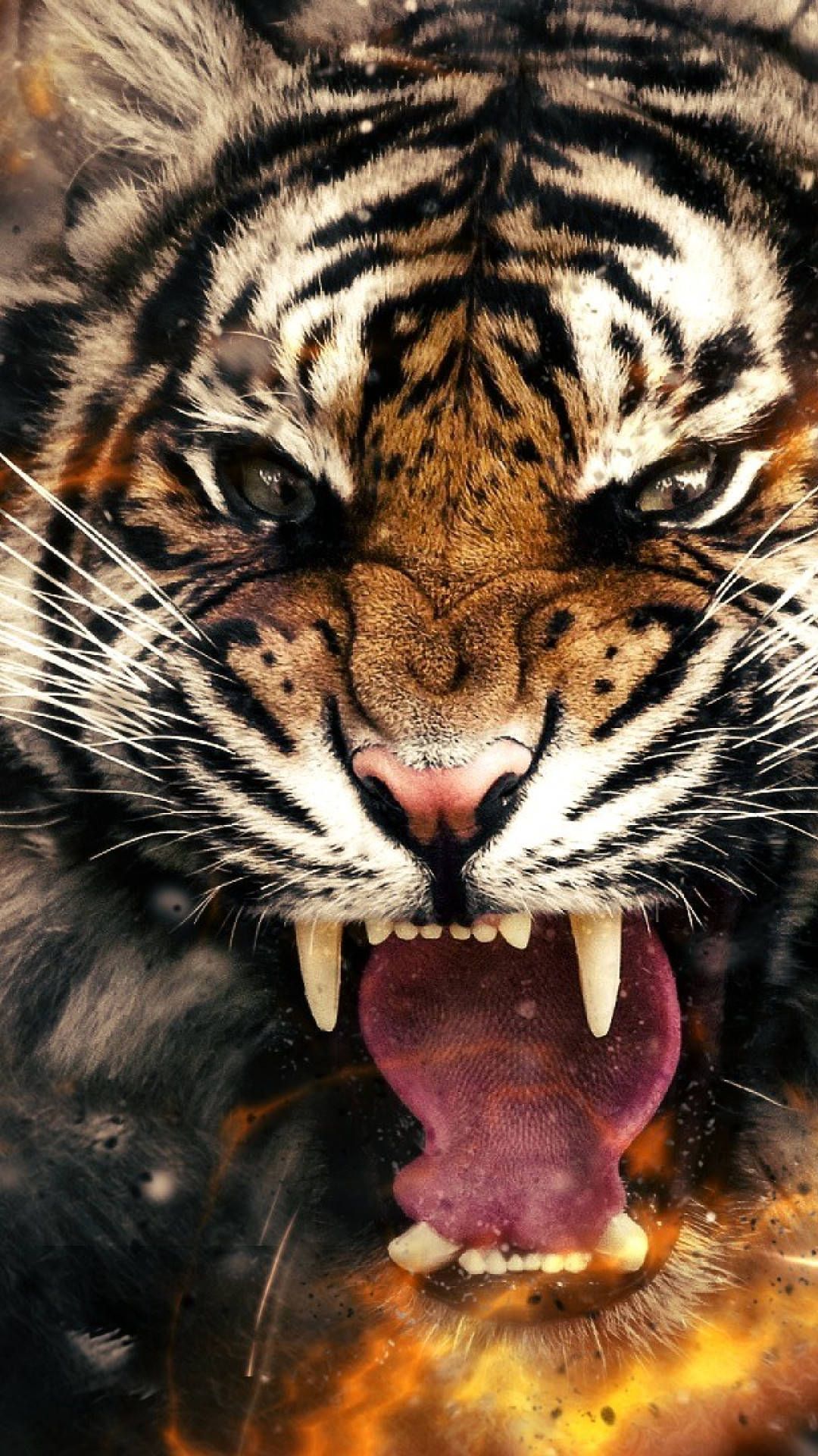 Tiger 3D Iphone Wallpapers