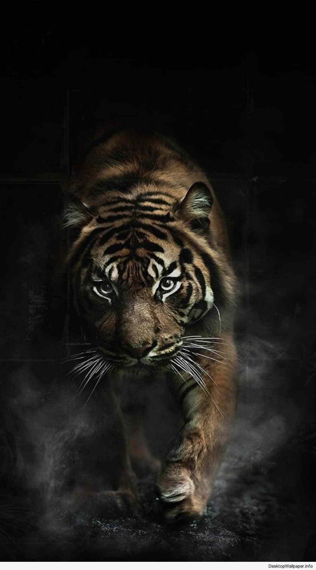 Tiger 3D Iphone Wallpapers