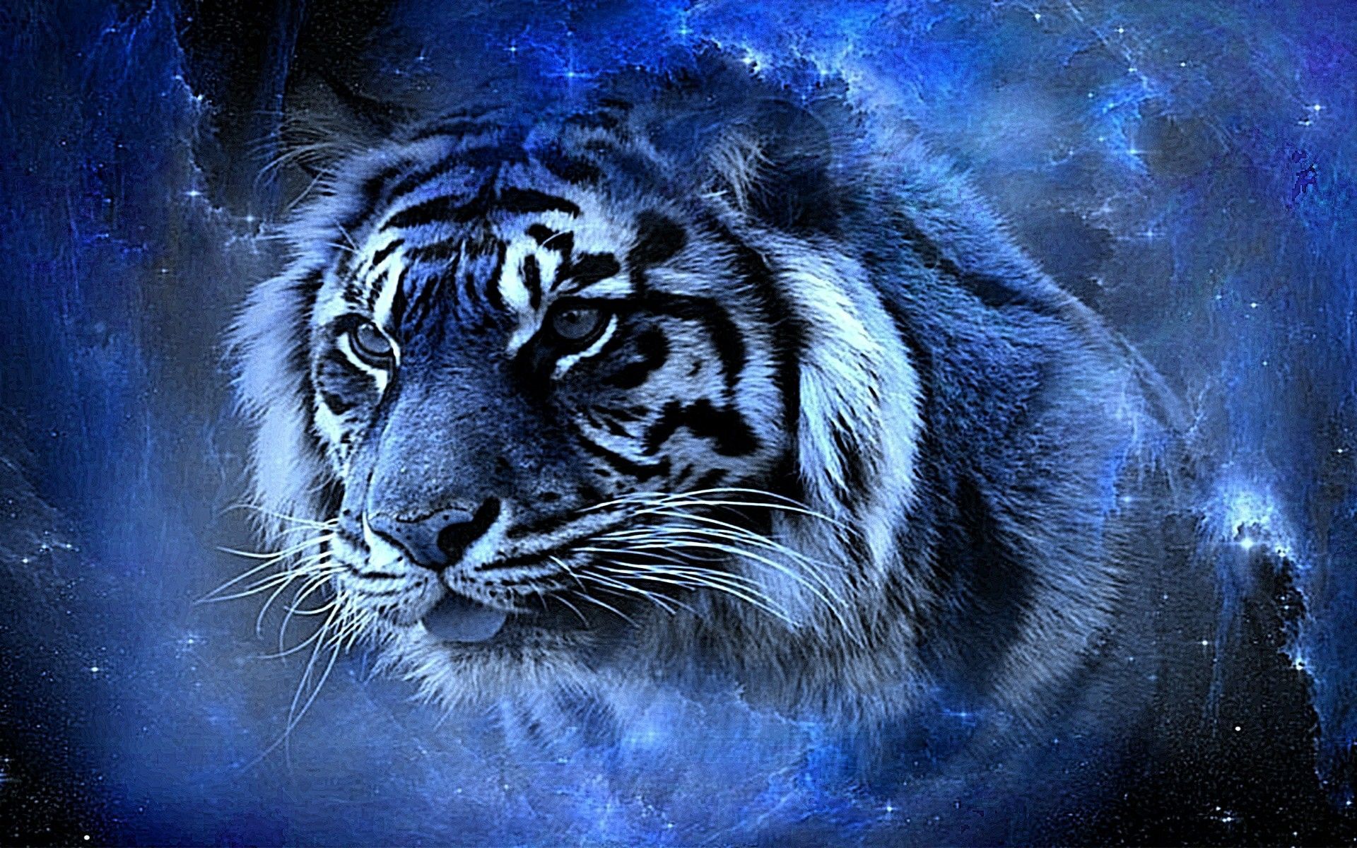 Tiger Free Wallpapers