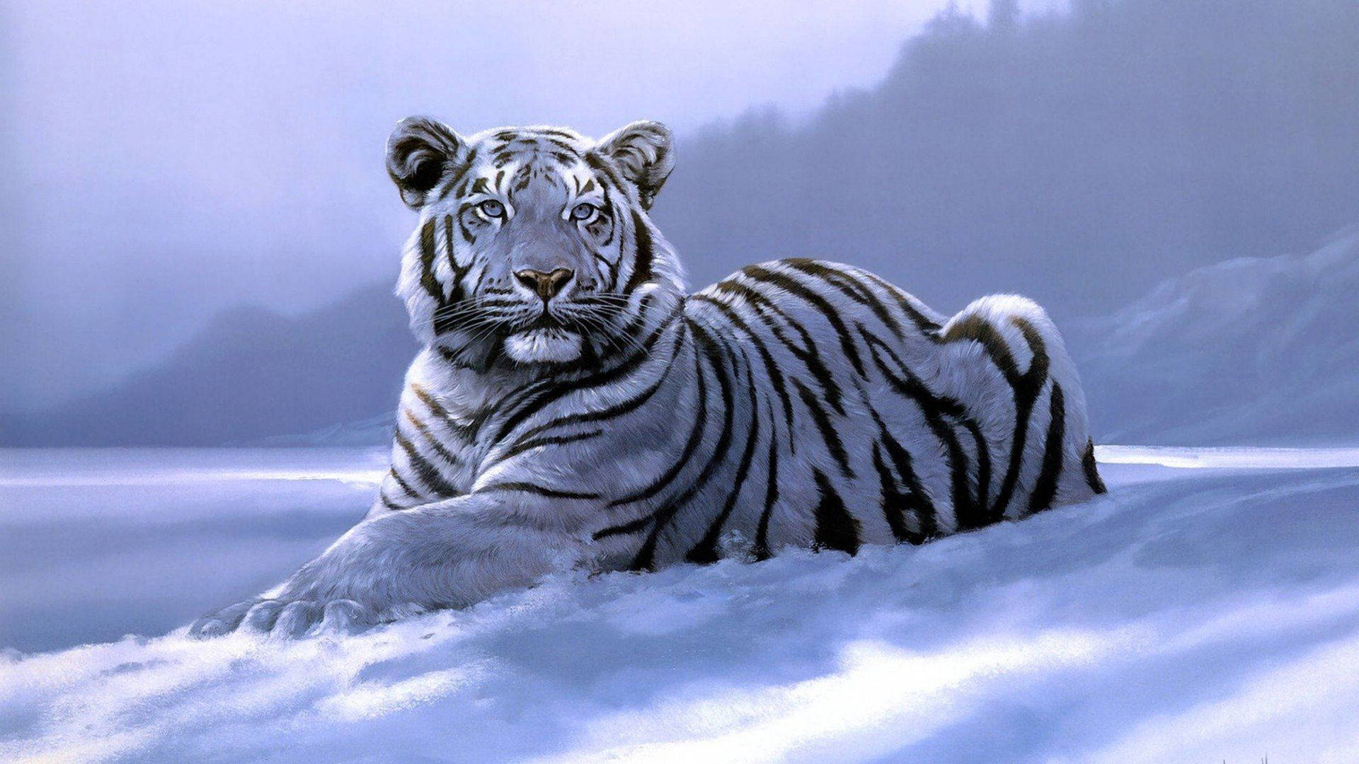 Tiger Free Wallpapers