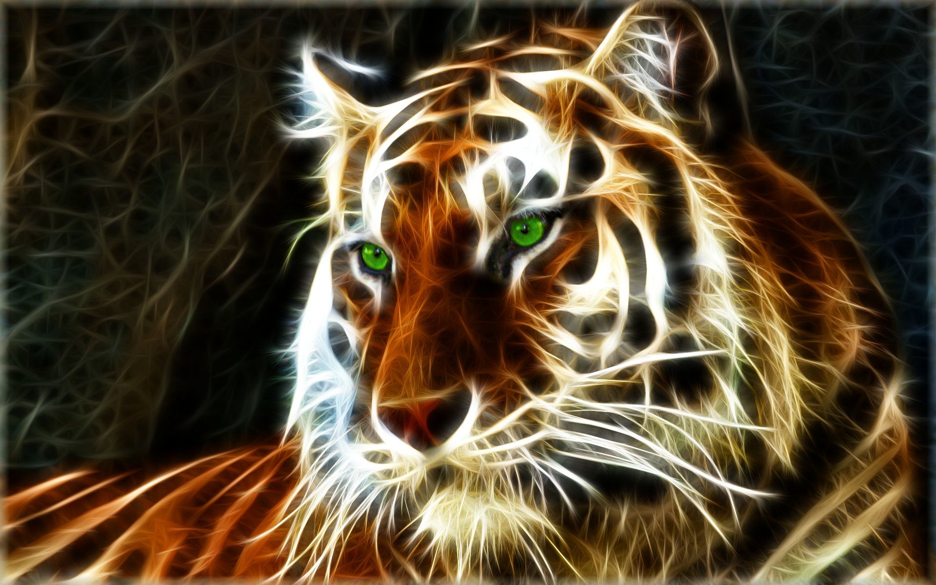 Tigers Wallpapers