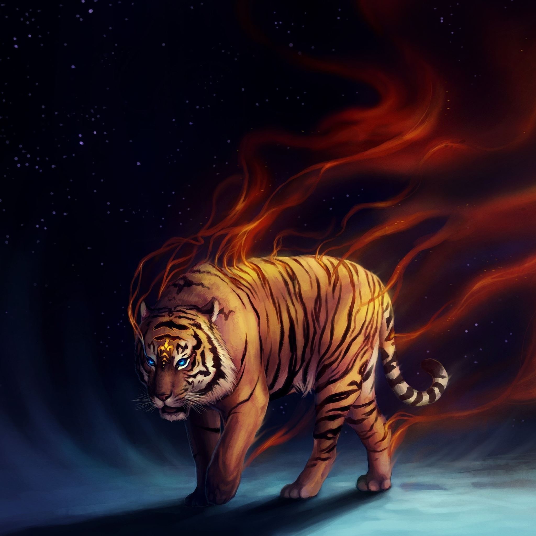 Tigers Wallpapers