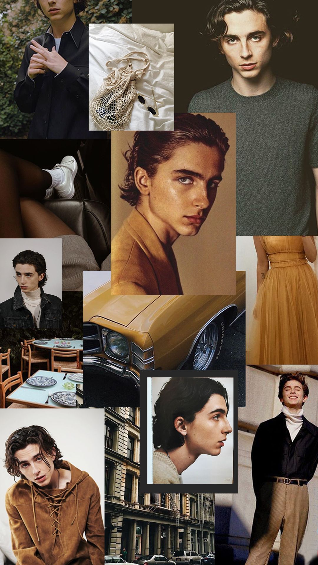 Timothee Chalamet Wallpapers