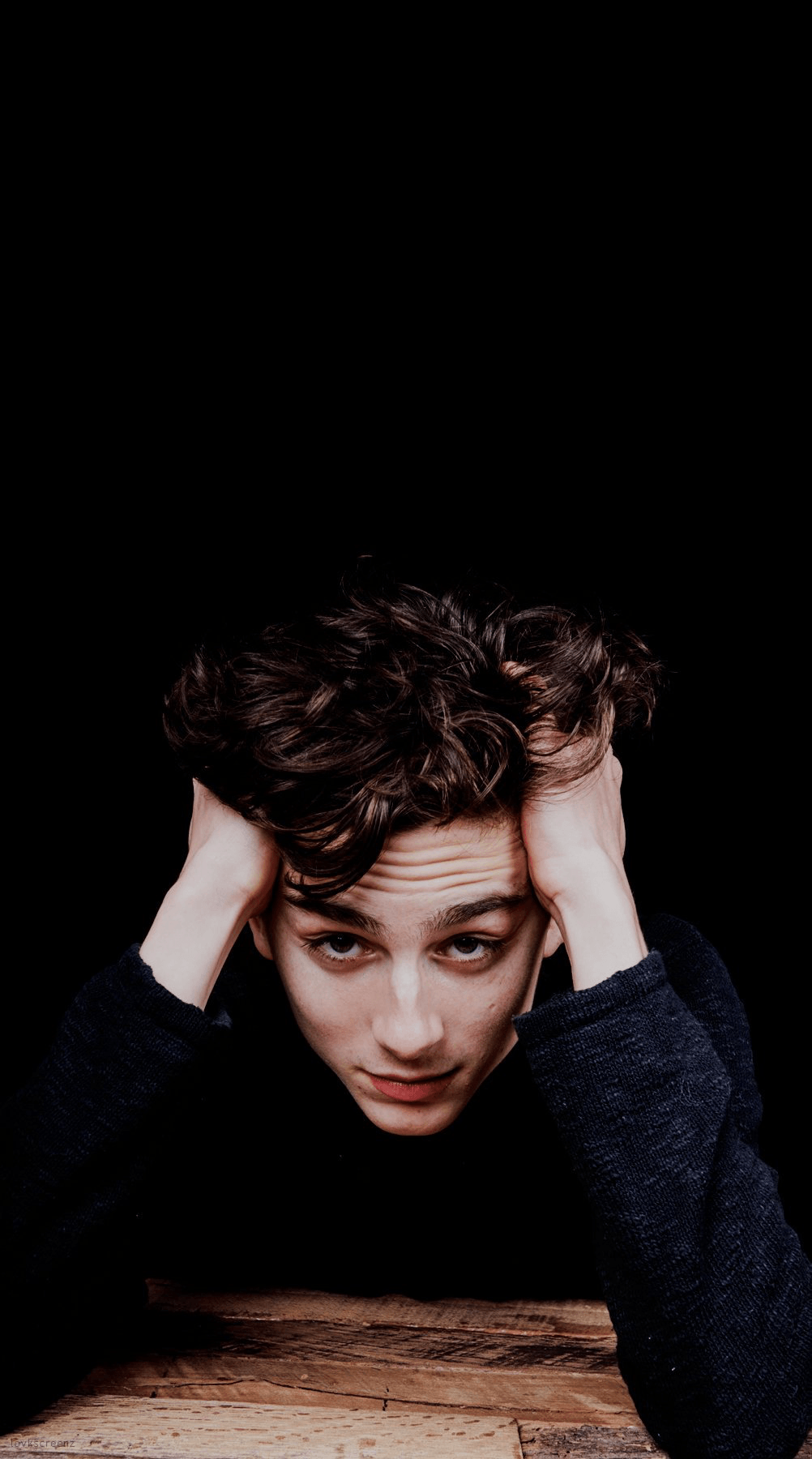 Timothee Chalamet Wallpapers