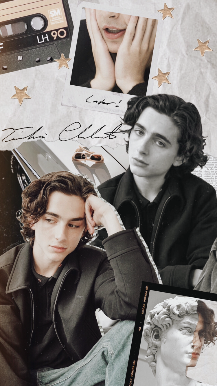 Timothee Chalamet Wallpapers