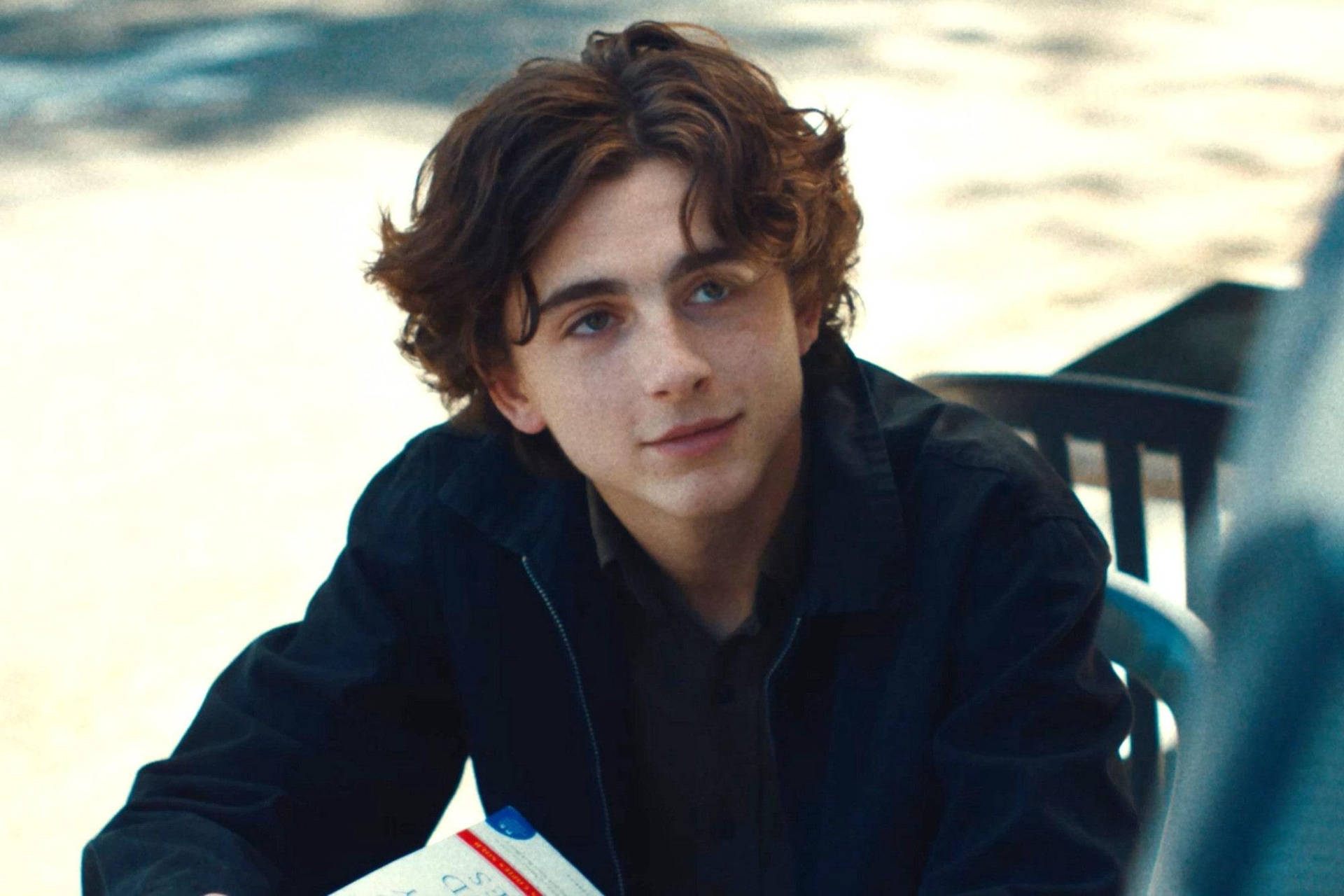 Timothee Chalamet Wallpapers