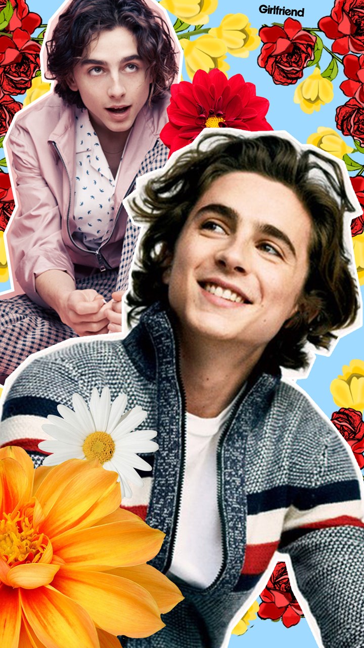 Timothee Chalamet Wallpapers