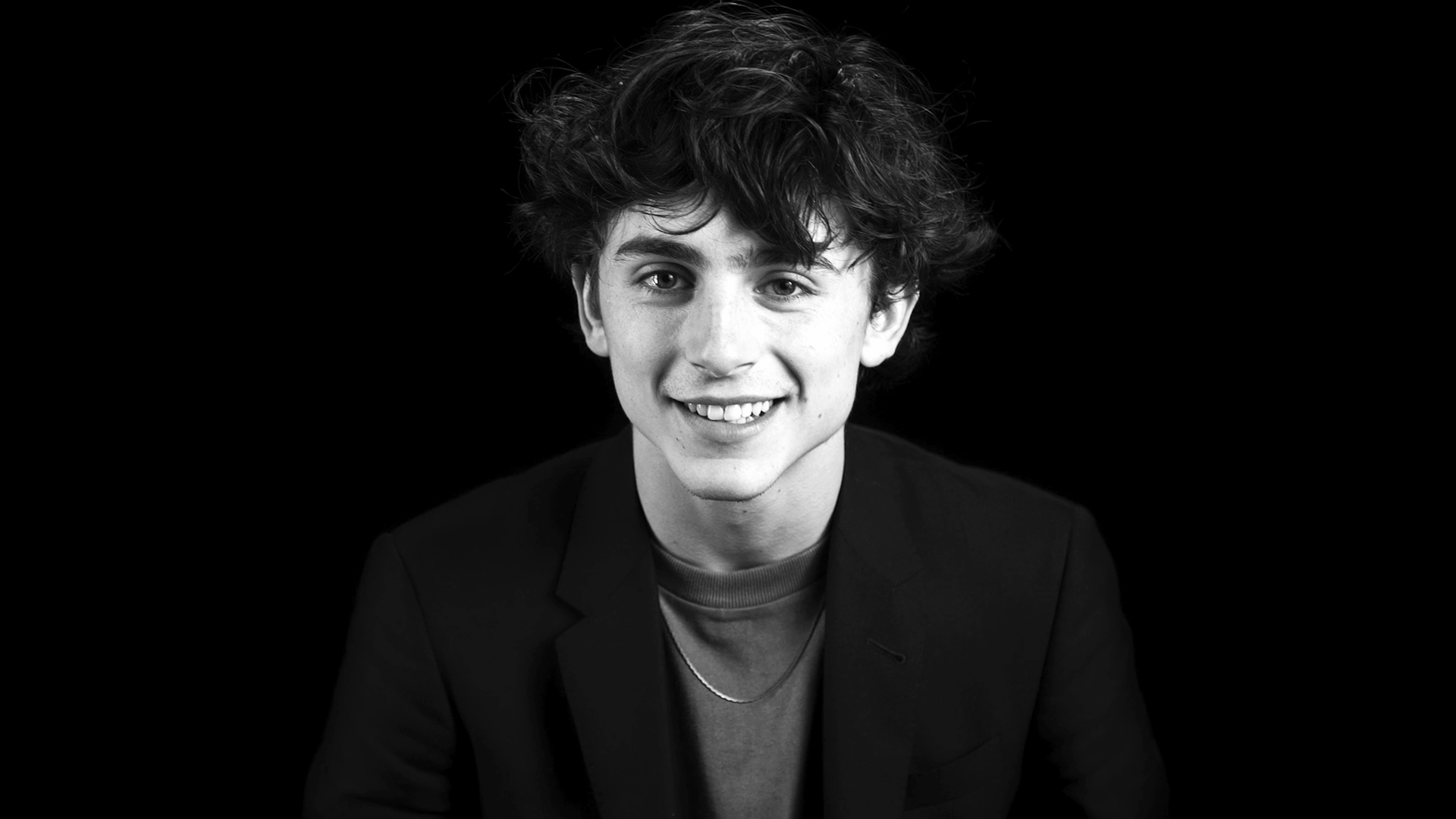 Timothee Chalamet Wallpapers