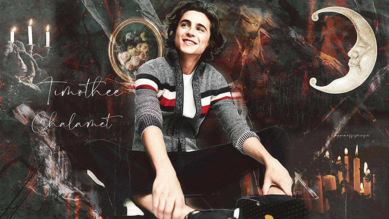 Timothee Chalamet Wallpapers