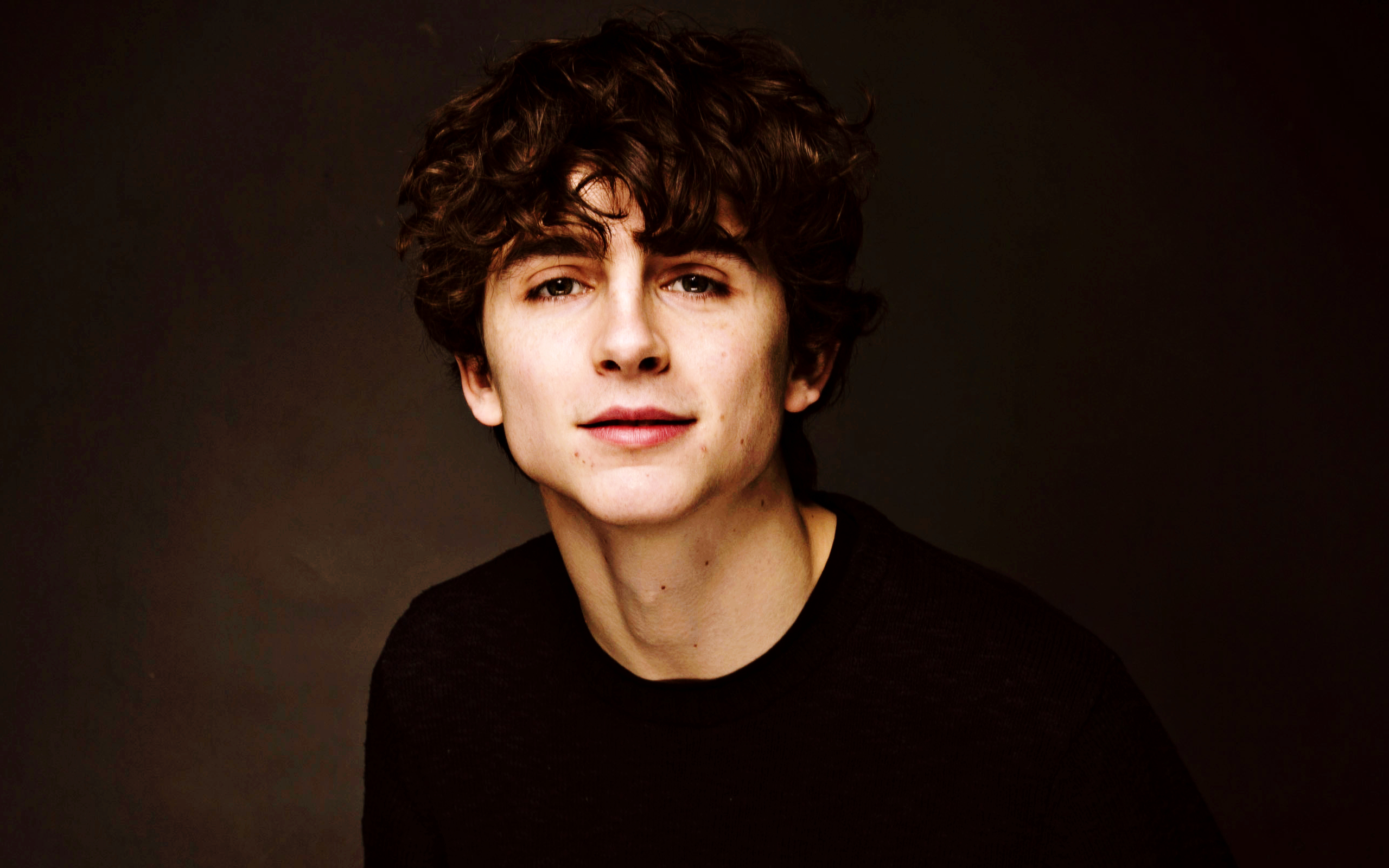 Timothee Chalamet Wallpapers