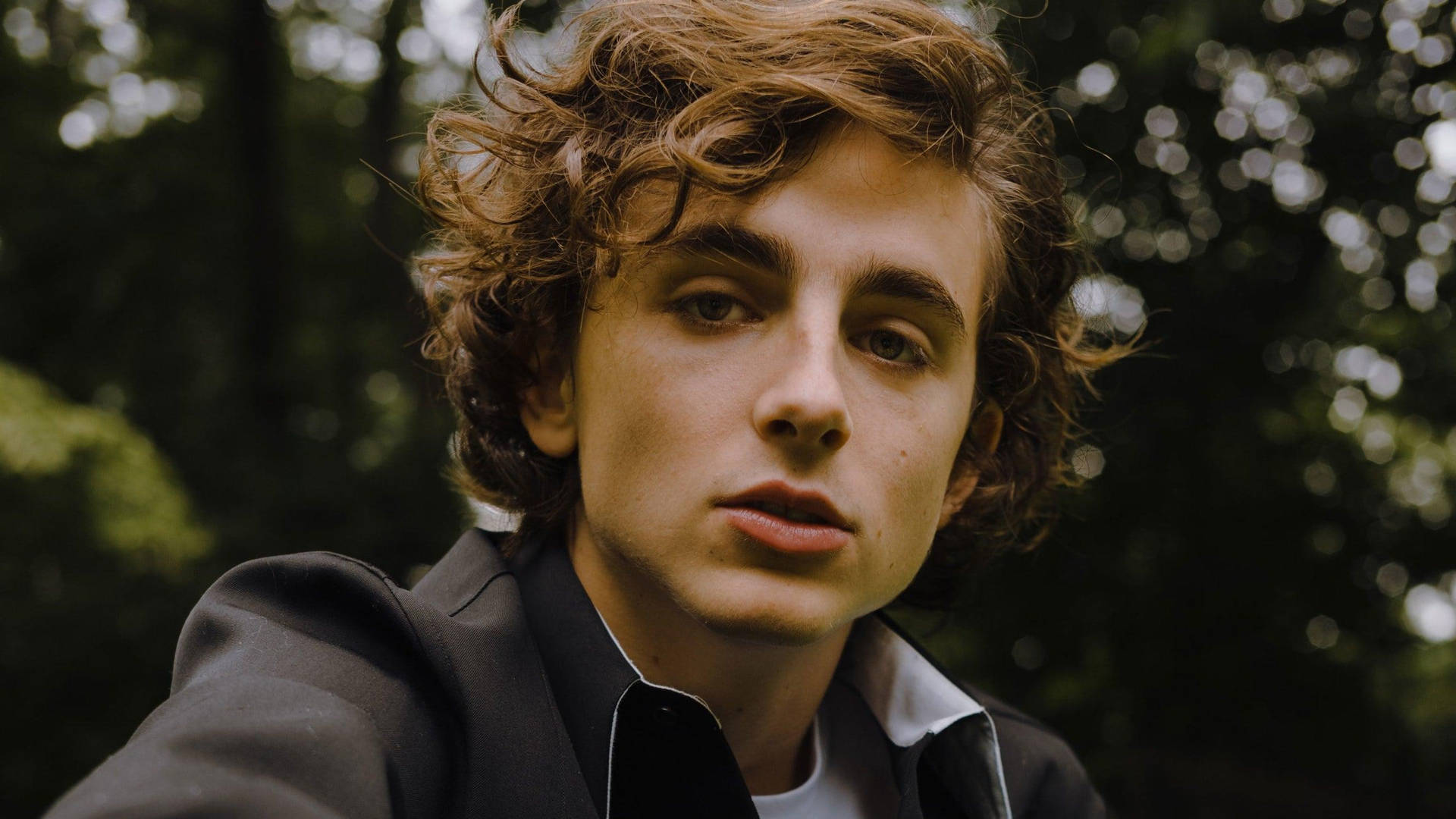 Timothee Chalamet Wallpapers