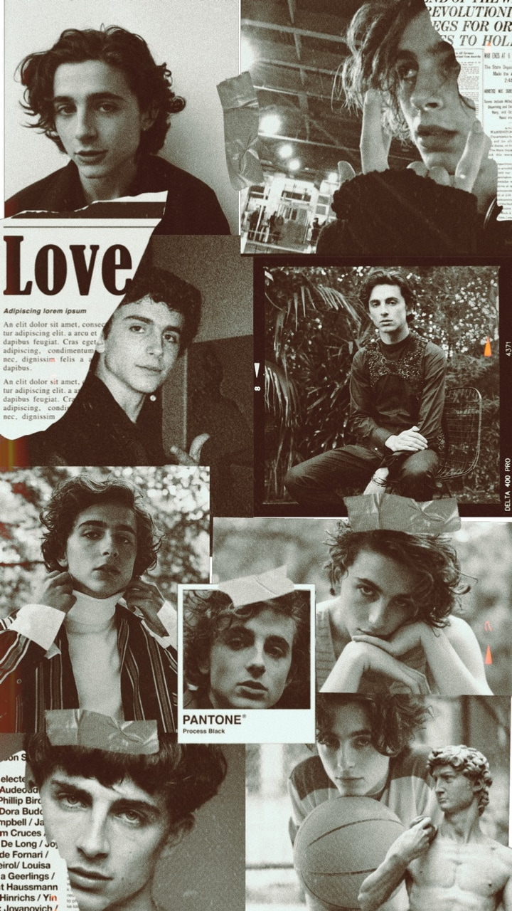 Timothee Chalamet Wallpapers