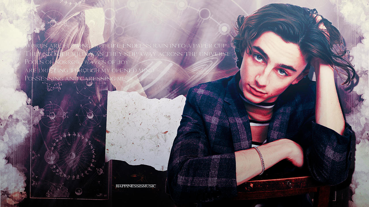 Timothee Chalamet Wallpapers