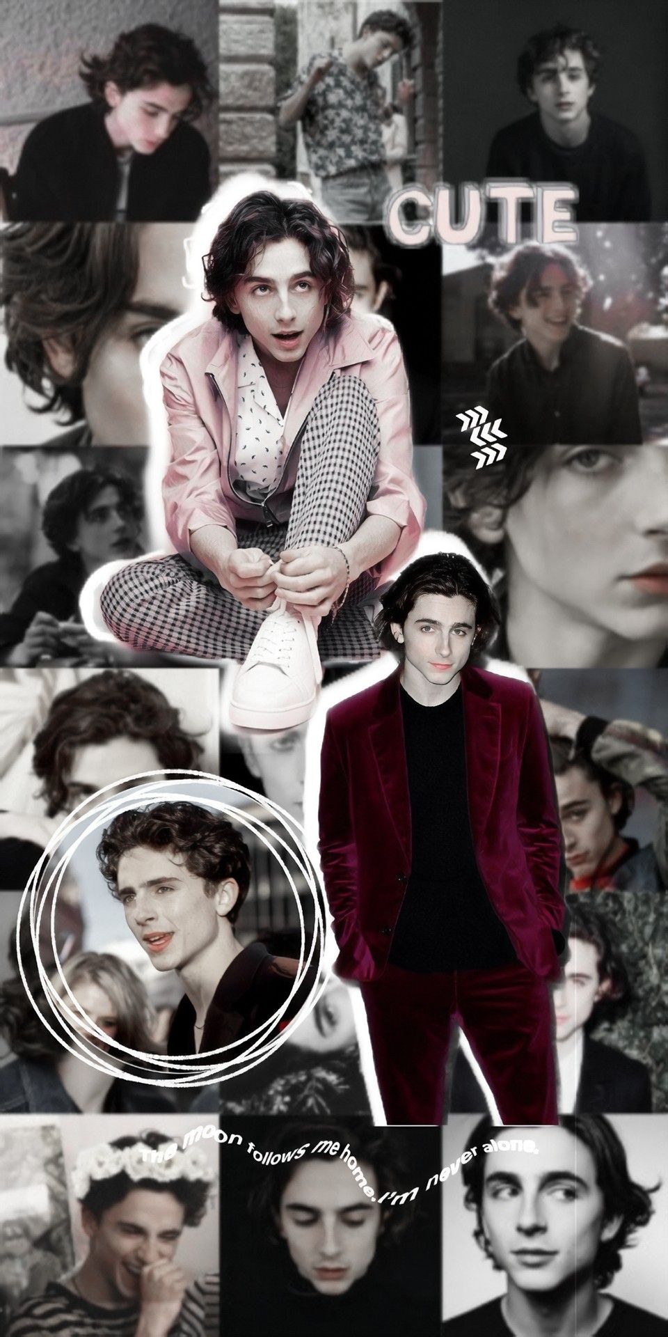 Timothee Chalamet Wallpapers