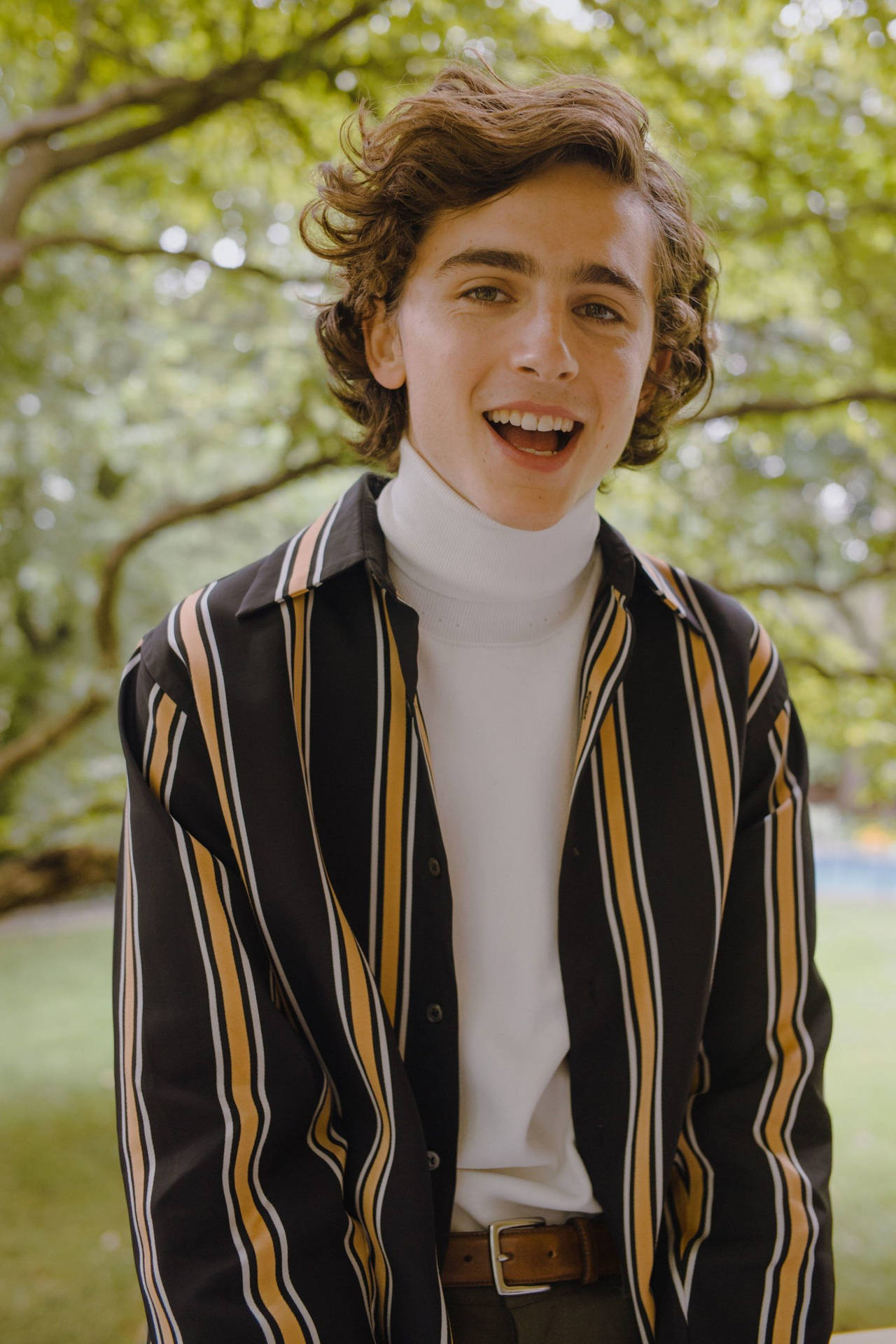 Timothee Chalamet Wallpapers