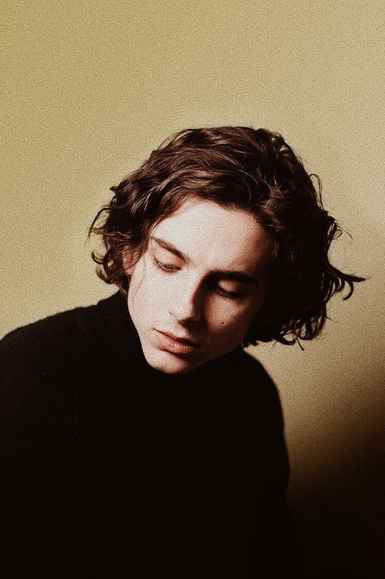 Timothee Chalamet Wallpapers