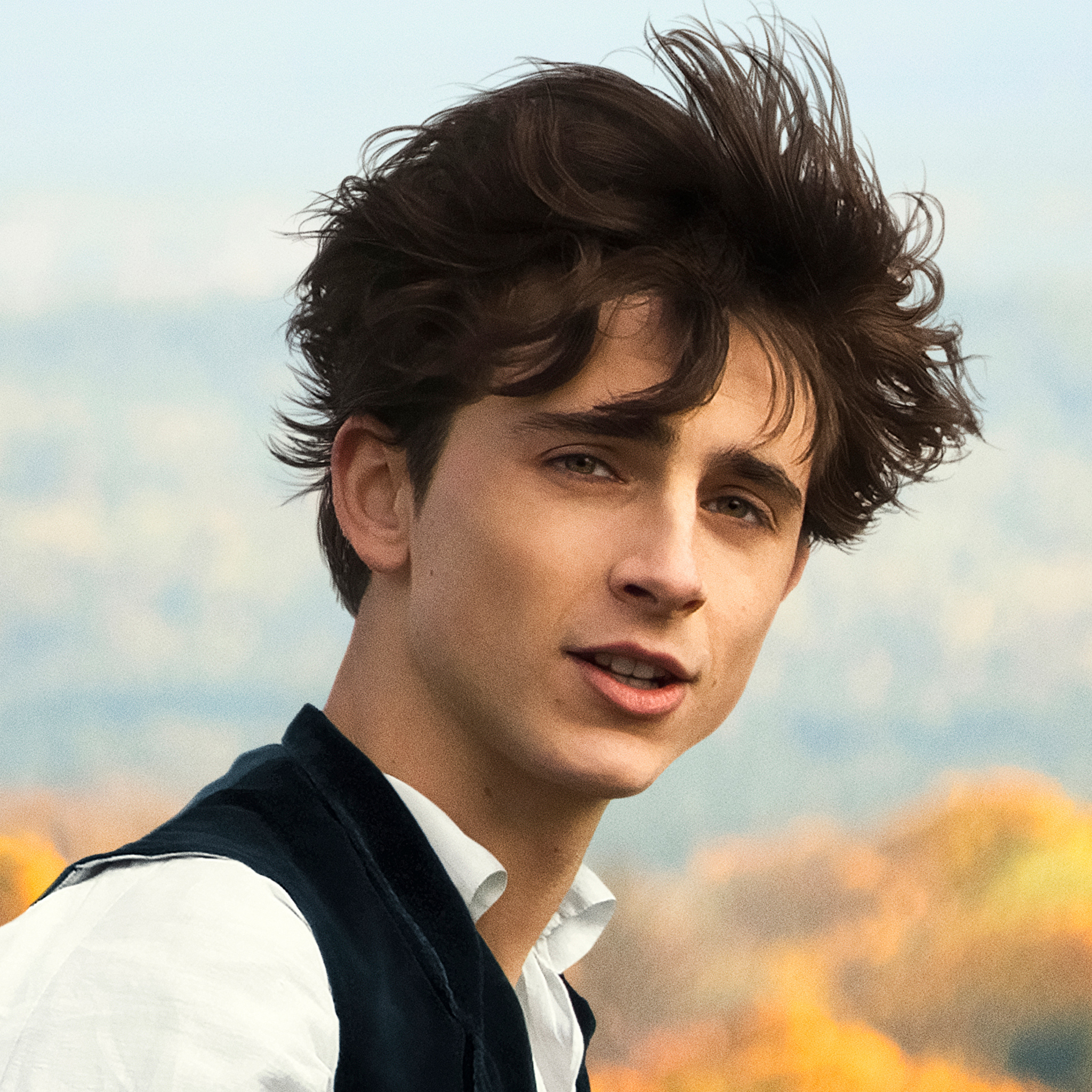 Timothee Chalamet Wallpapers