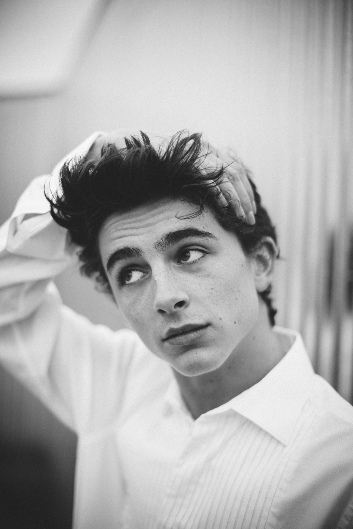 Timothee Chalamet Wallpapers