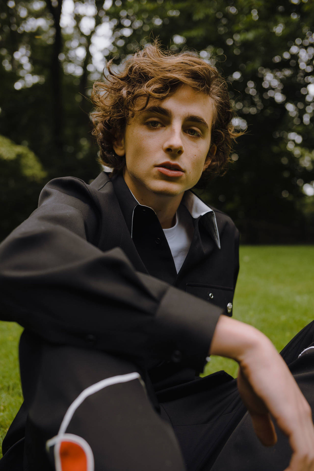 Timothee Chalamet Wallpapers