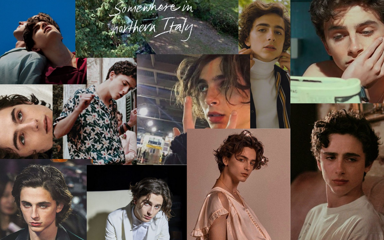 Timothee Chalamet Wallpapers