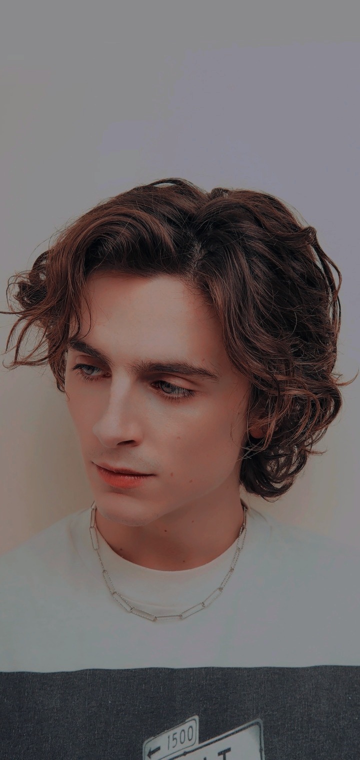 Timothee Chalamet Wallpapers