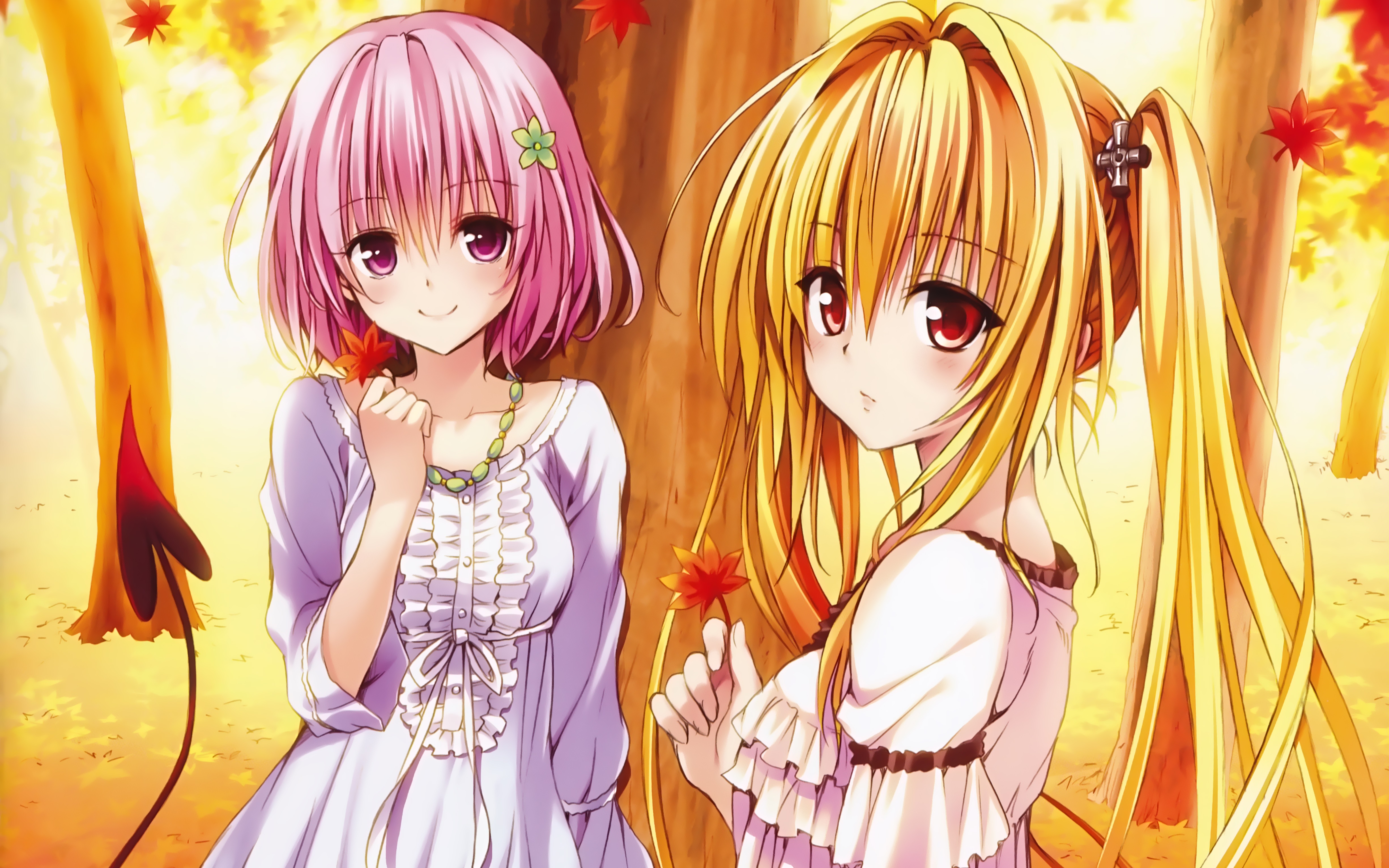 To Love Ru Yami Wallpapers