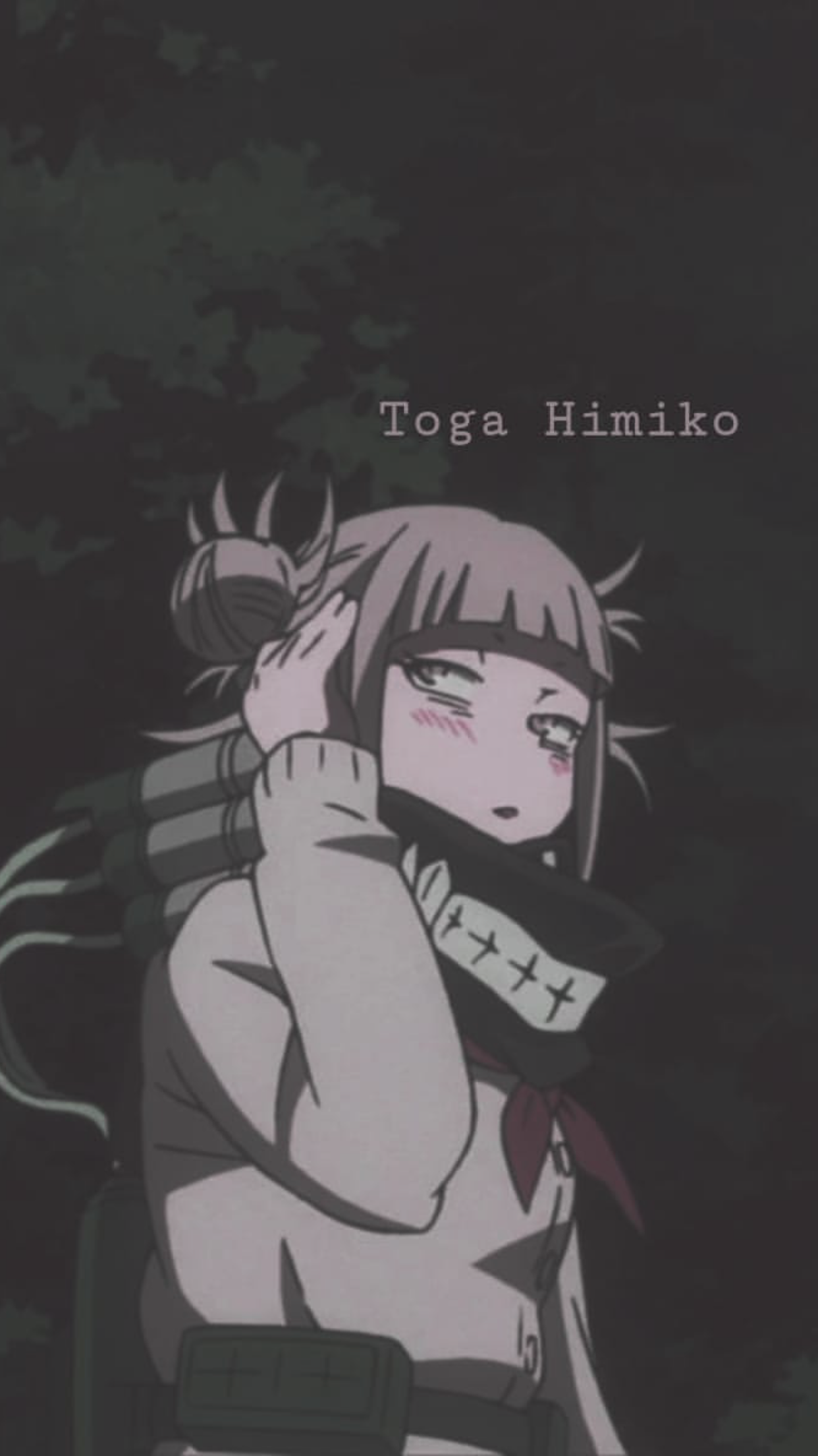 Toga Mha Wallpapers